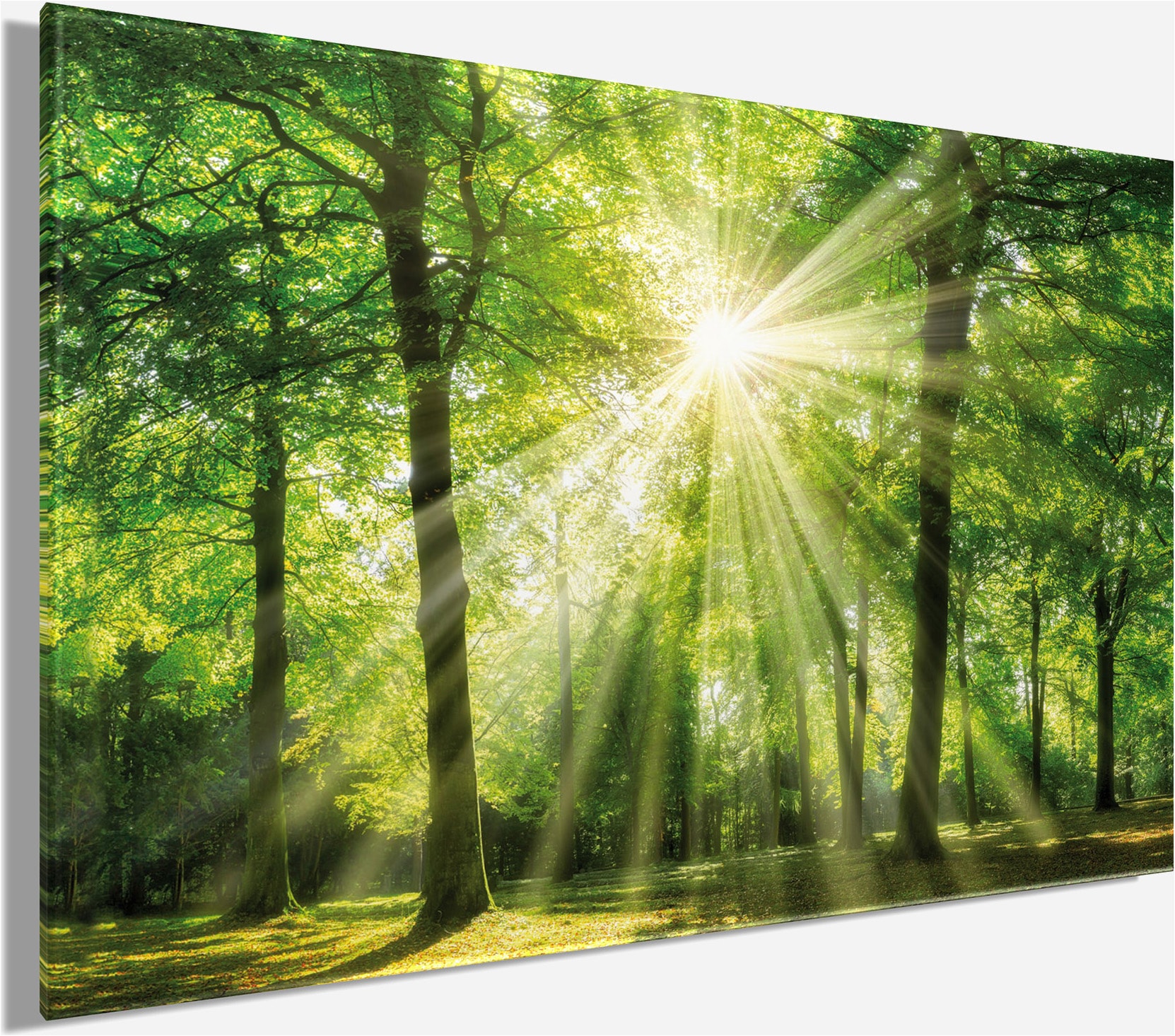 Bönninghoff Tableau sur toile »Wandbild WALD  – Leinwandbild Keilrahmen« Forêt | Nature | Prairies et arbres 1 cuis tlg. tendu sur châssis