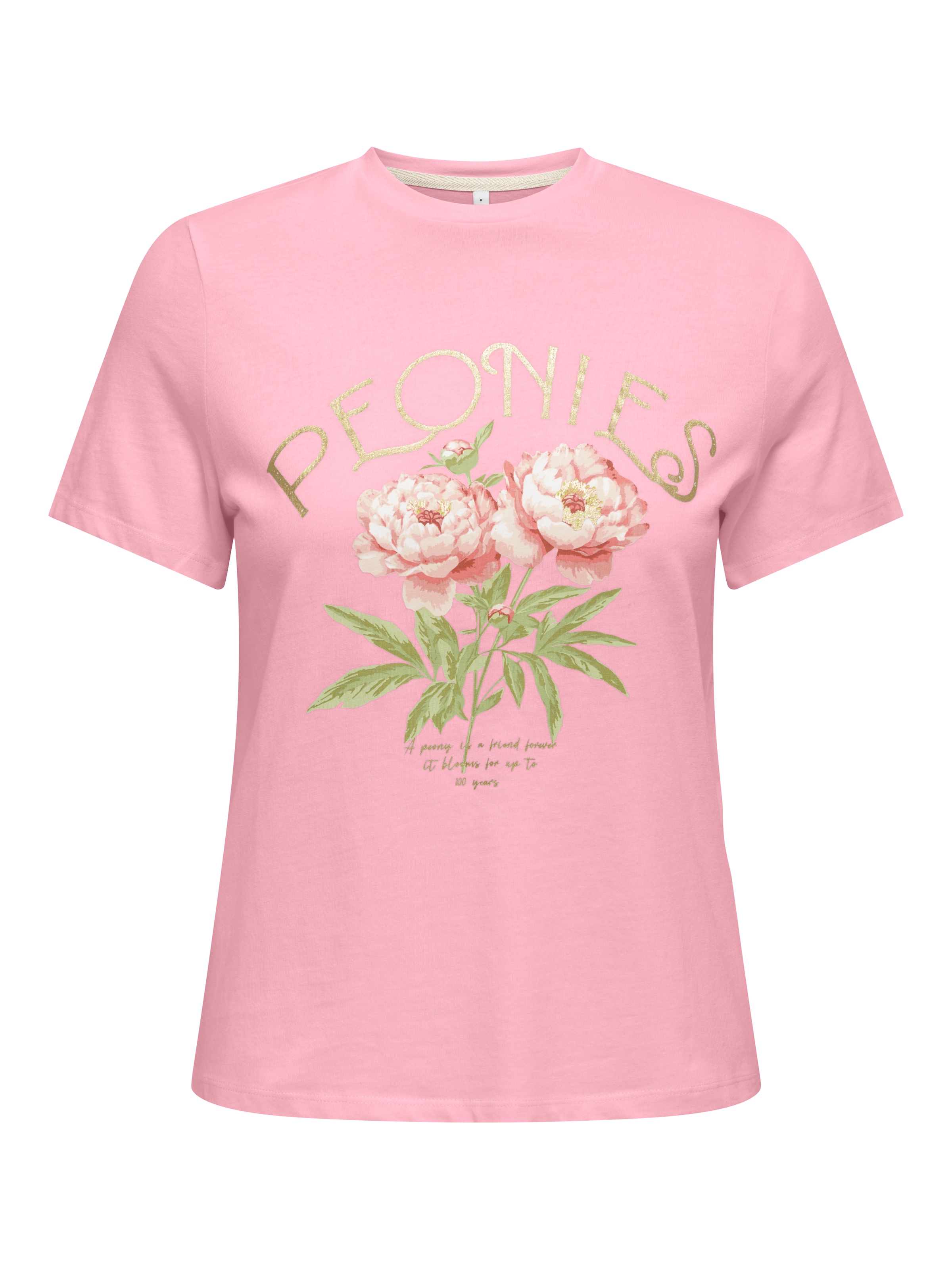 ONLY T-shirt à manches courtes »ONLAMBERDINE S/S PRINT TOP BOX JRS« Baumwolle, regular fit, Rundhals