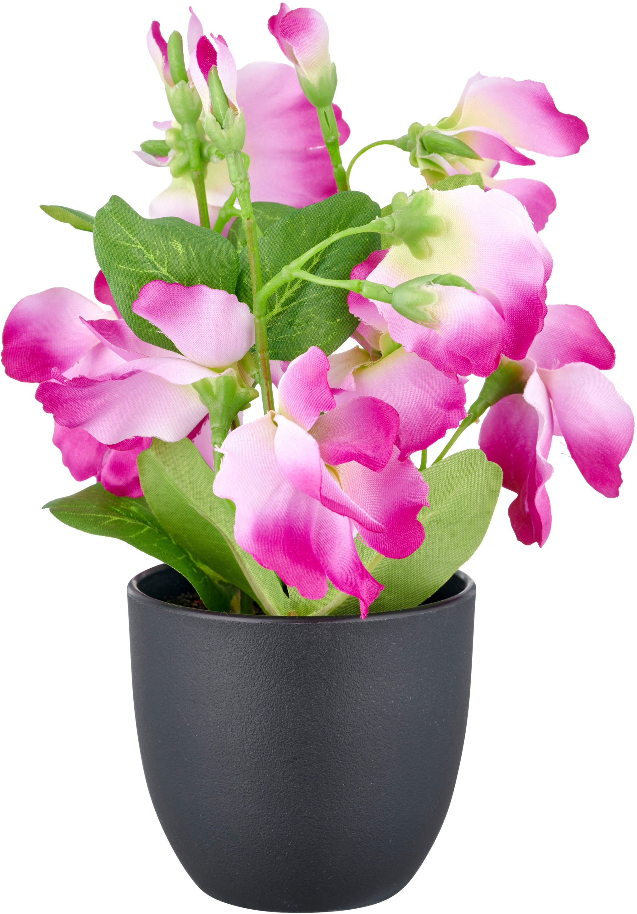 Creativ green Plante artificielle »Wicke« mit leuchtenden Blütenfarben