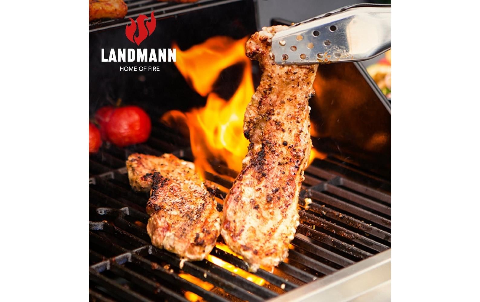 LANDMANN Barbecue à gaz »Rexon PTS 3,1«