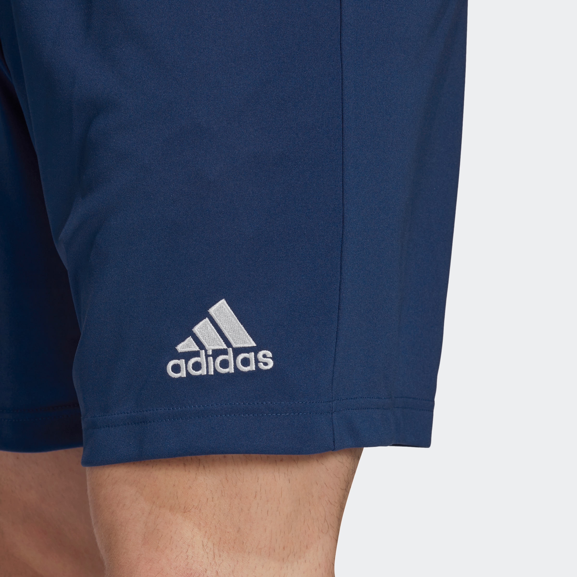 adidas Performance Short d'entraînement »ENT22 SHO«
