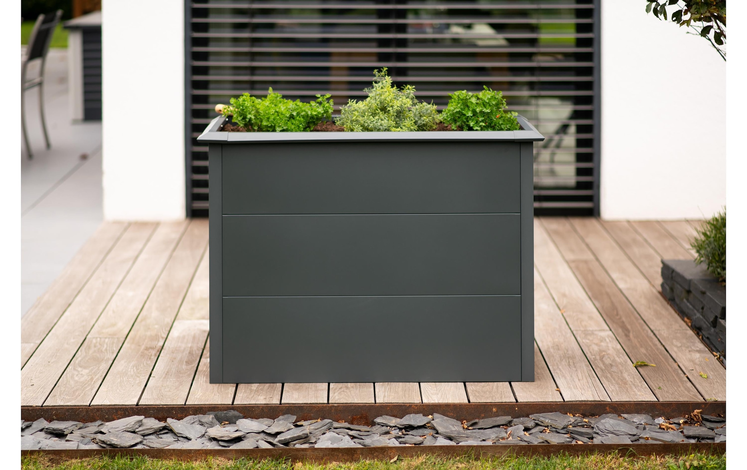 WESTMANN Lit surélevé »Metall Hochbeet Primus M« anthracite, 100x50x77 cm