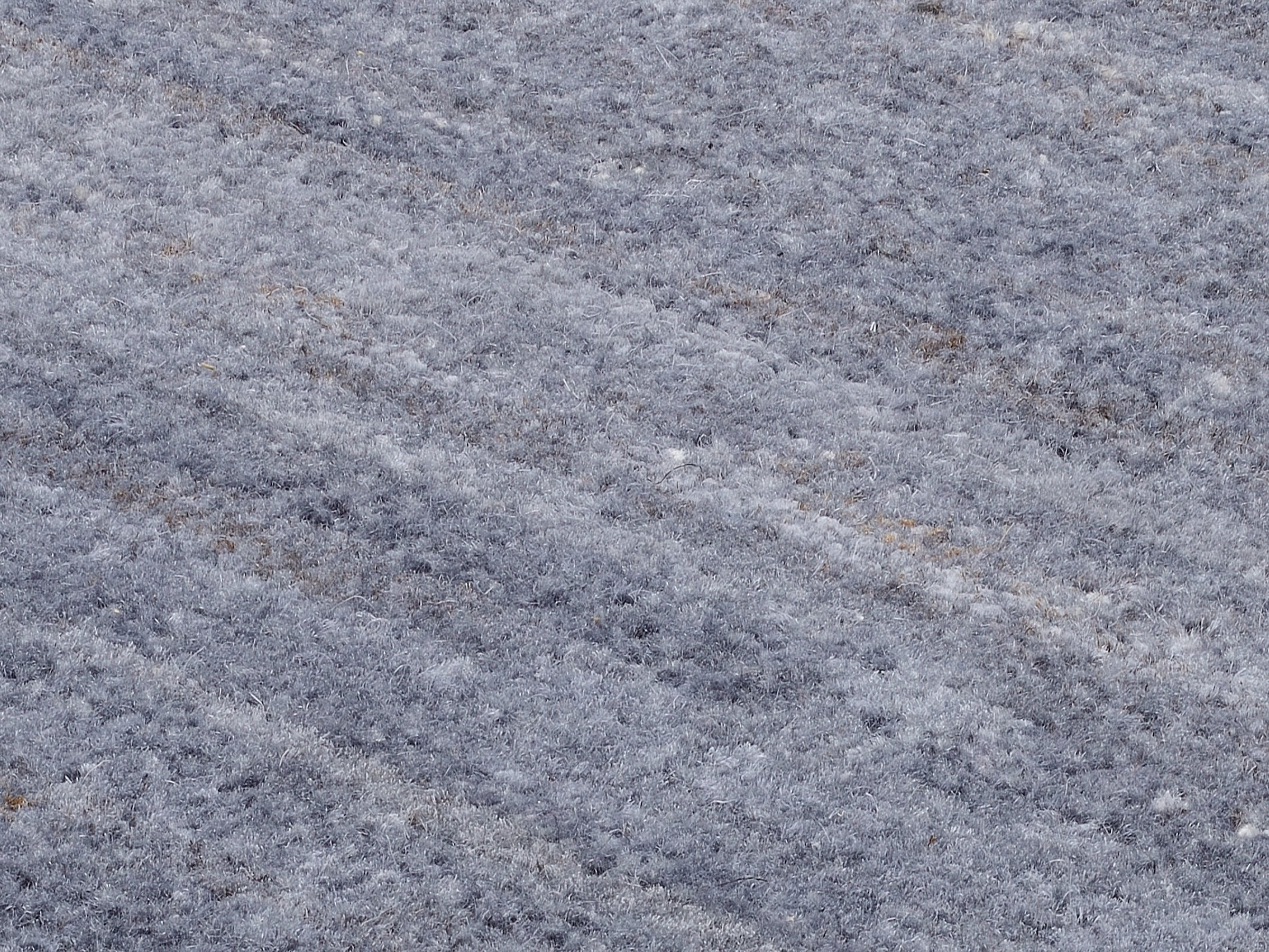 OCI DIE TEPPICHMARKE Tapis »HIMALI UNI« Rectangulaire 5 mm Höhe handgeknüpft, hochwertige Wolle, fusswarm, Wohnzimmer