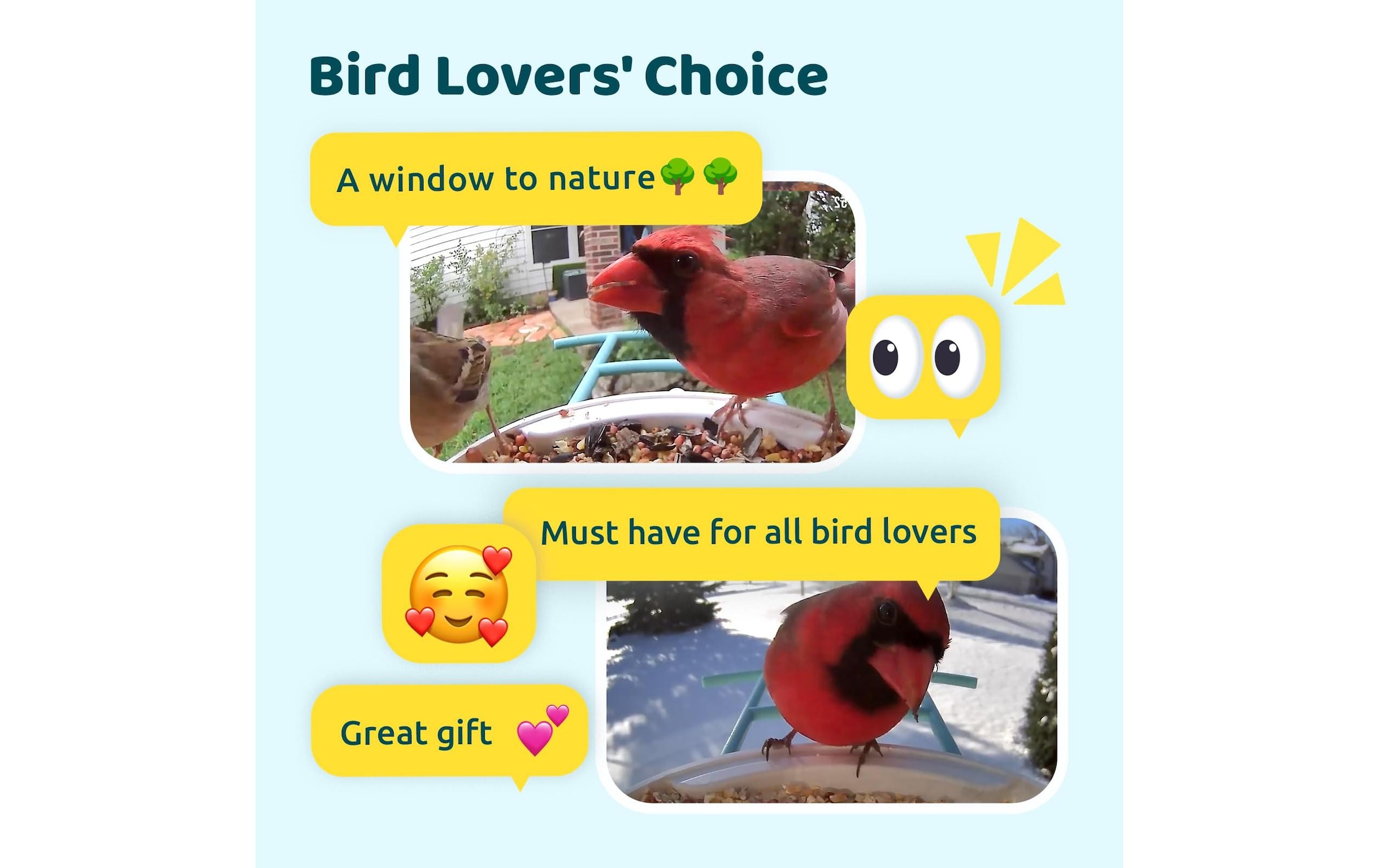 Birdfy Futterspender »Basic Solar«