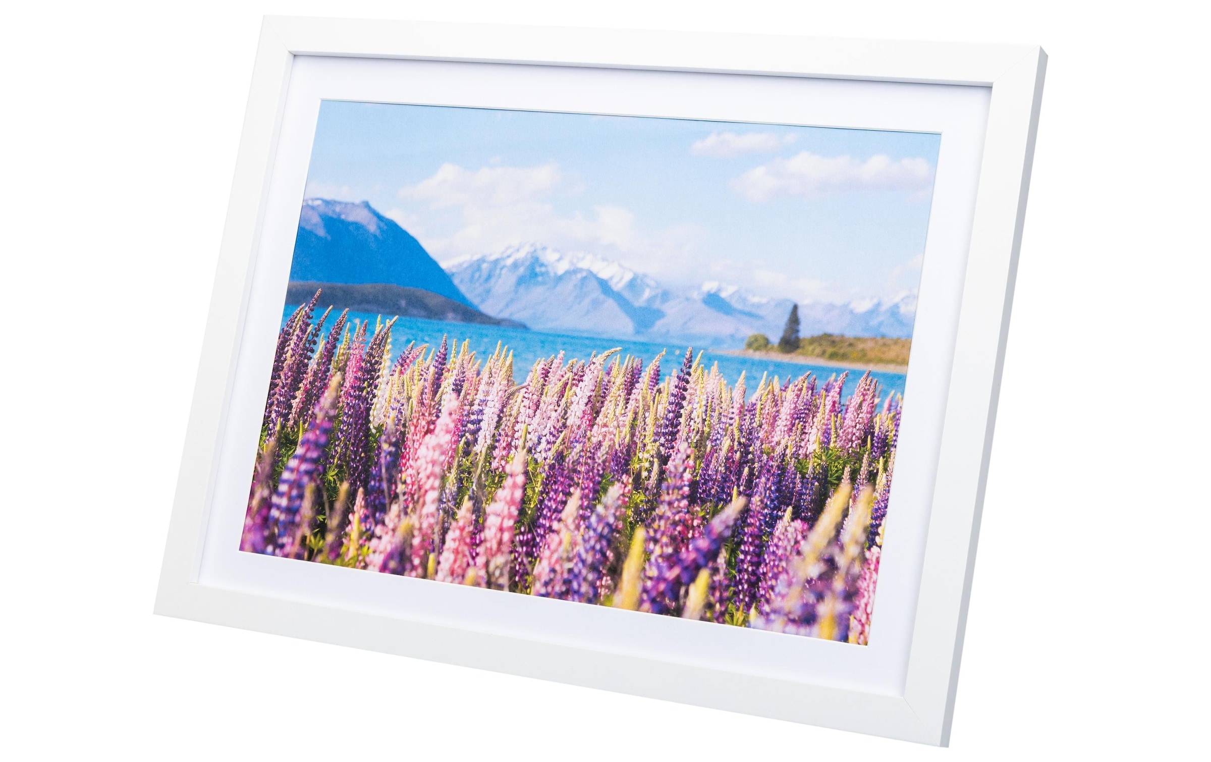 Cocon Cadre photo »8er-Set«