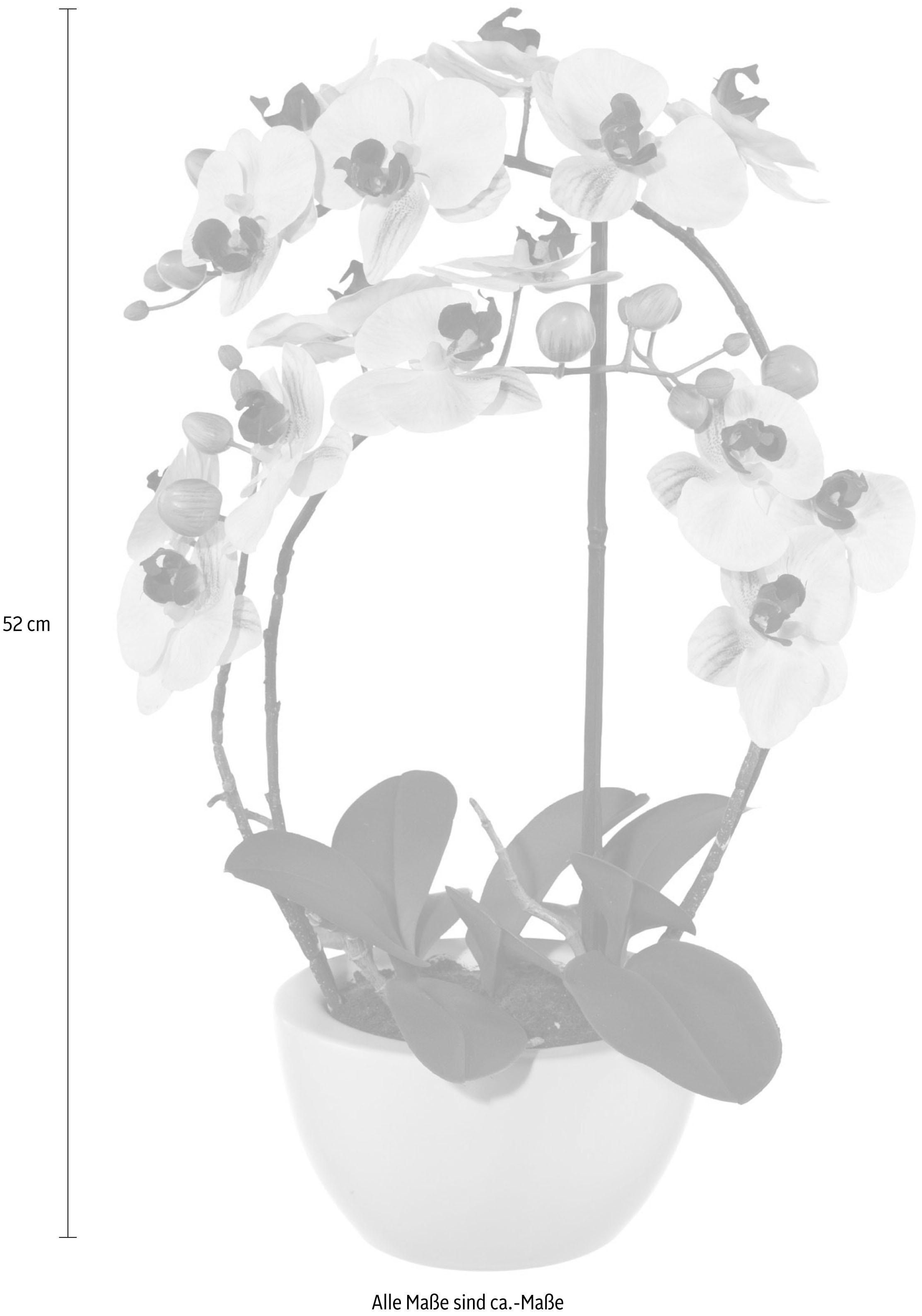 Creativ green Plante artificielle »Phalaenopsis«