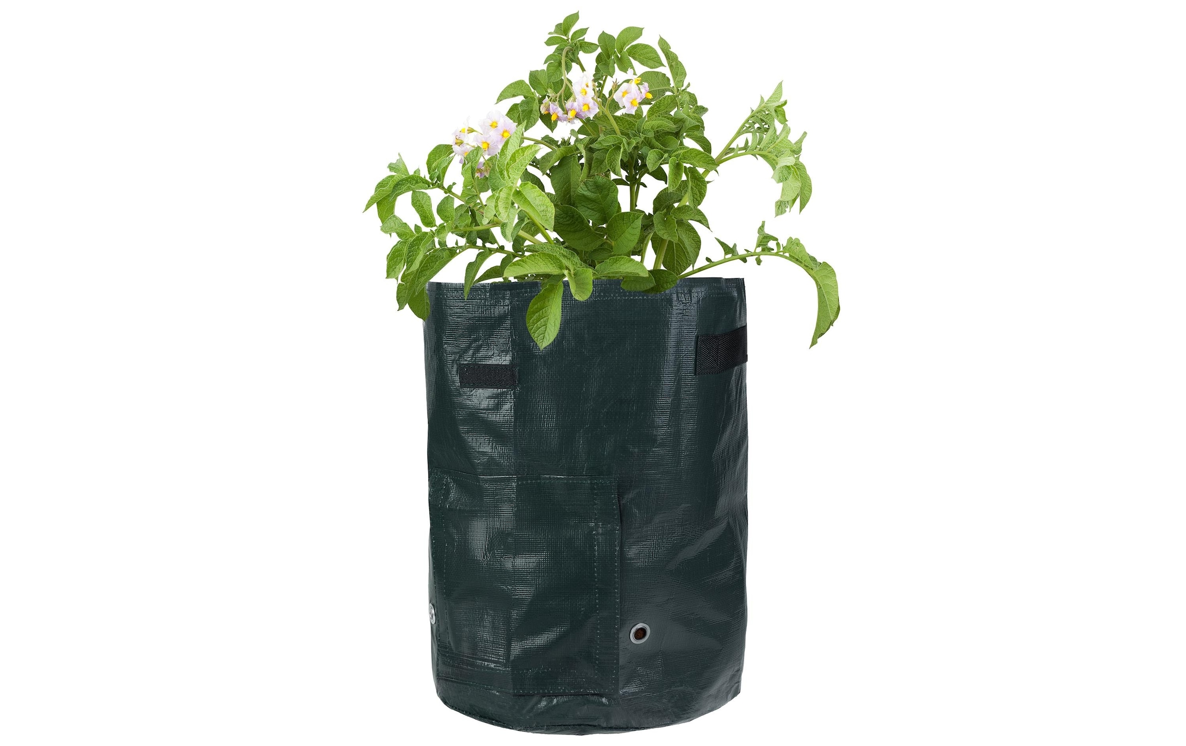 STRUCT Pflanzschale »4er Set, PE,«