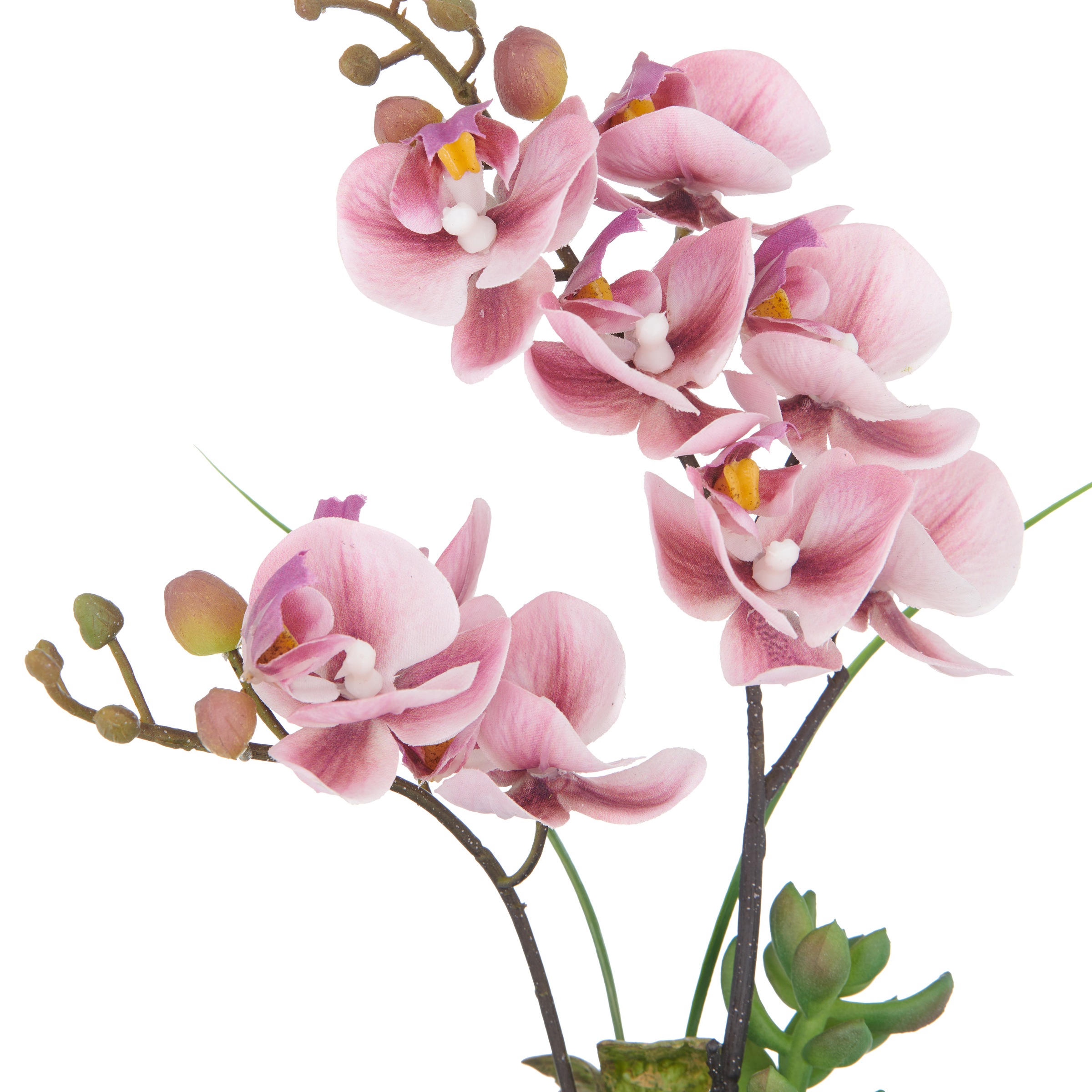 Creativ green Kunstorchidee »Orchidee Phalaenopsis« mit real-touch-Blüten