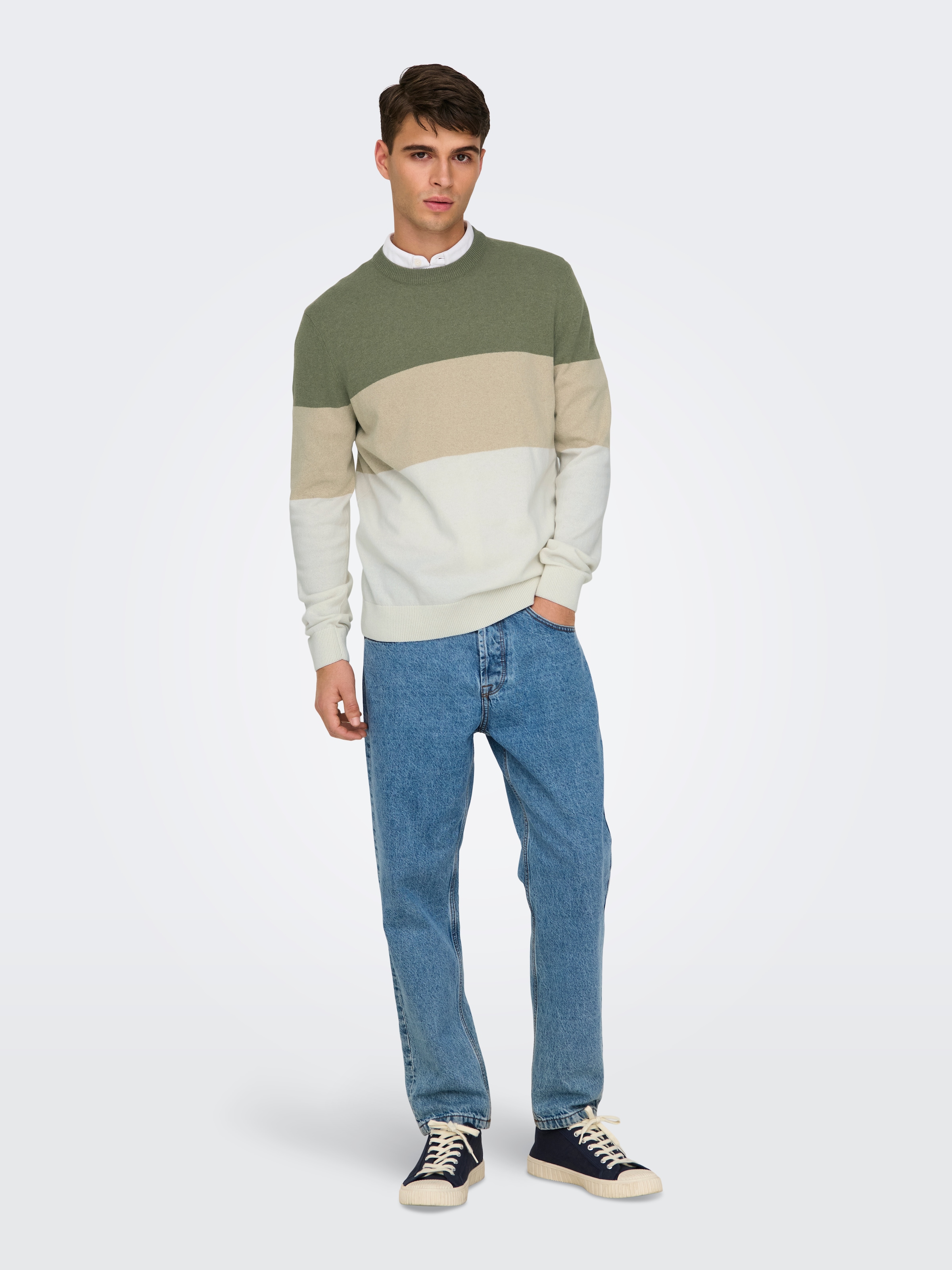 ONLY & SONS Rundhalspullover »ONSREX LIFE REG 12 CREW KNIT«