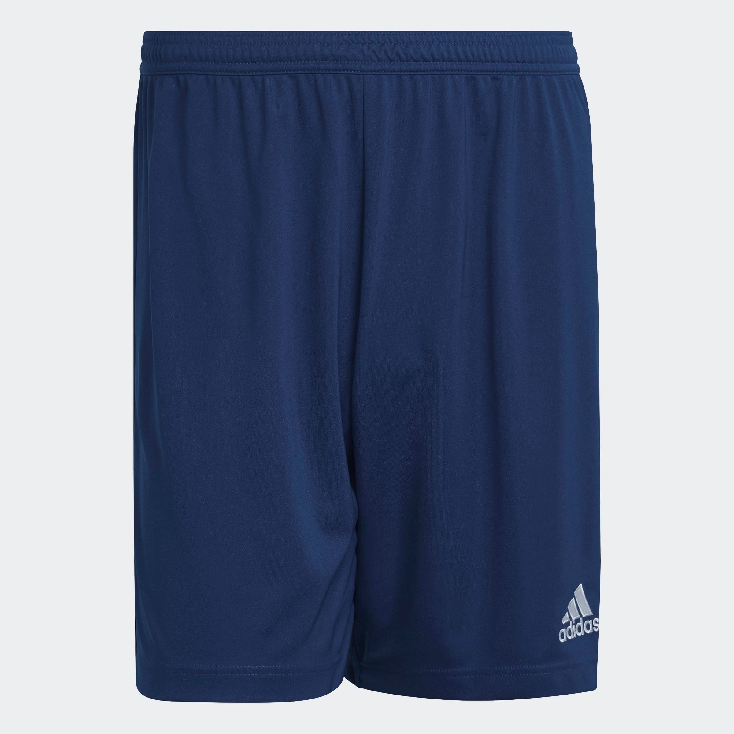 adidas Performance Short d'entraînement »ENT22 SHO«