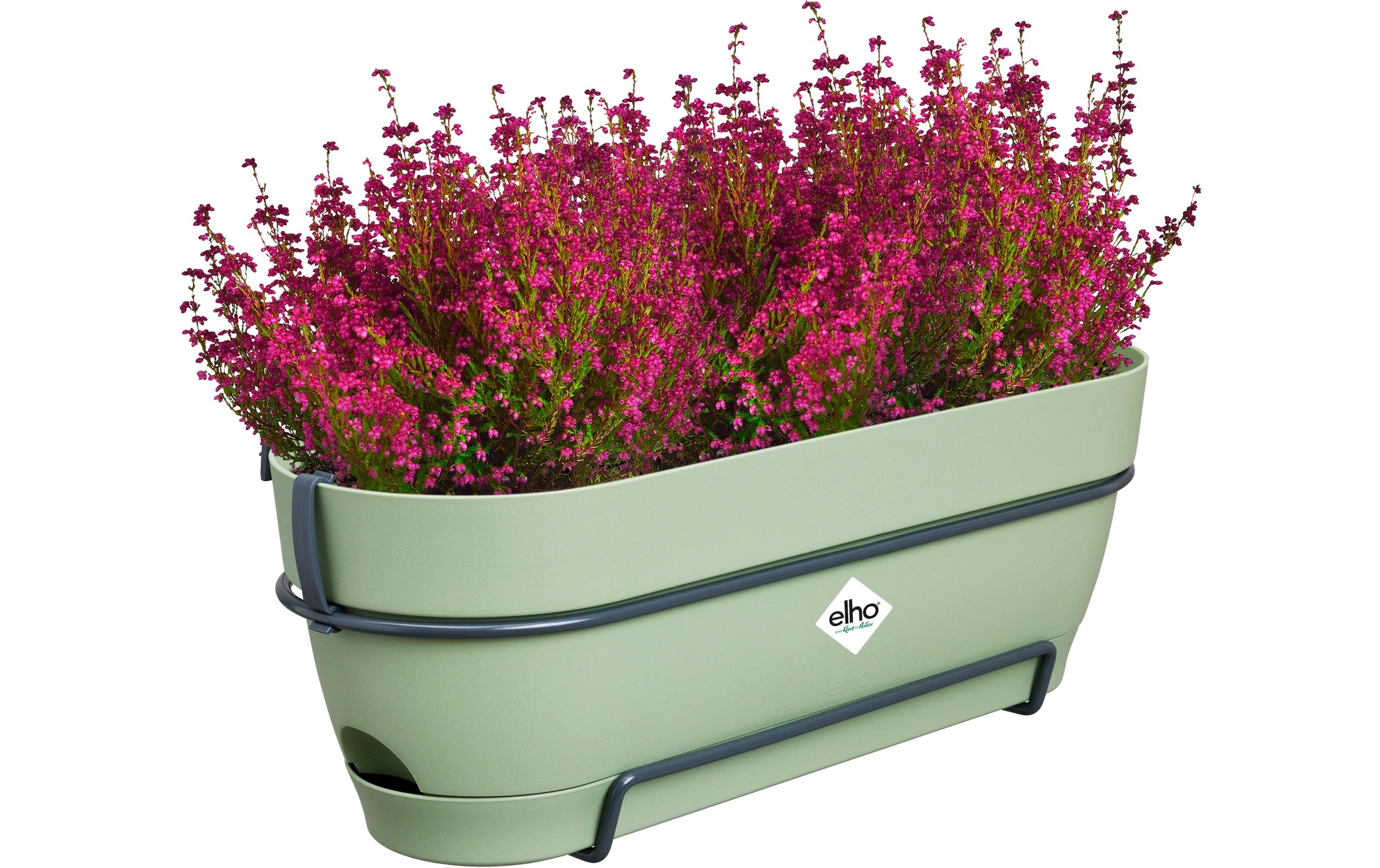 Elho Pot de fleurs »Vibia Campana Balkonkasten Allin1 50 cm«