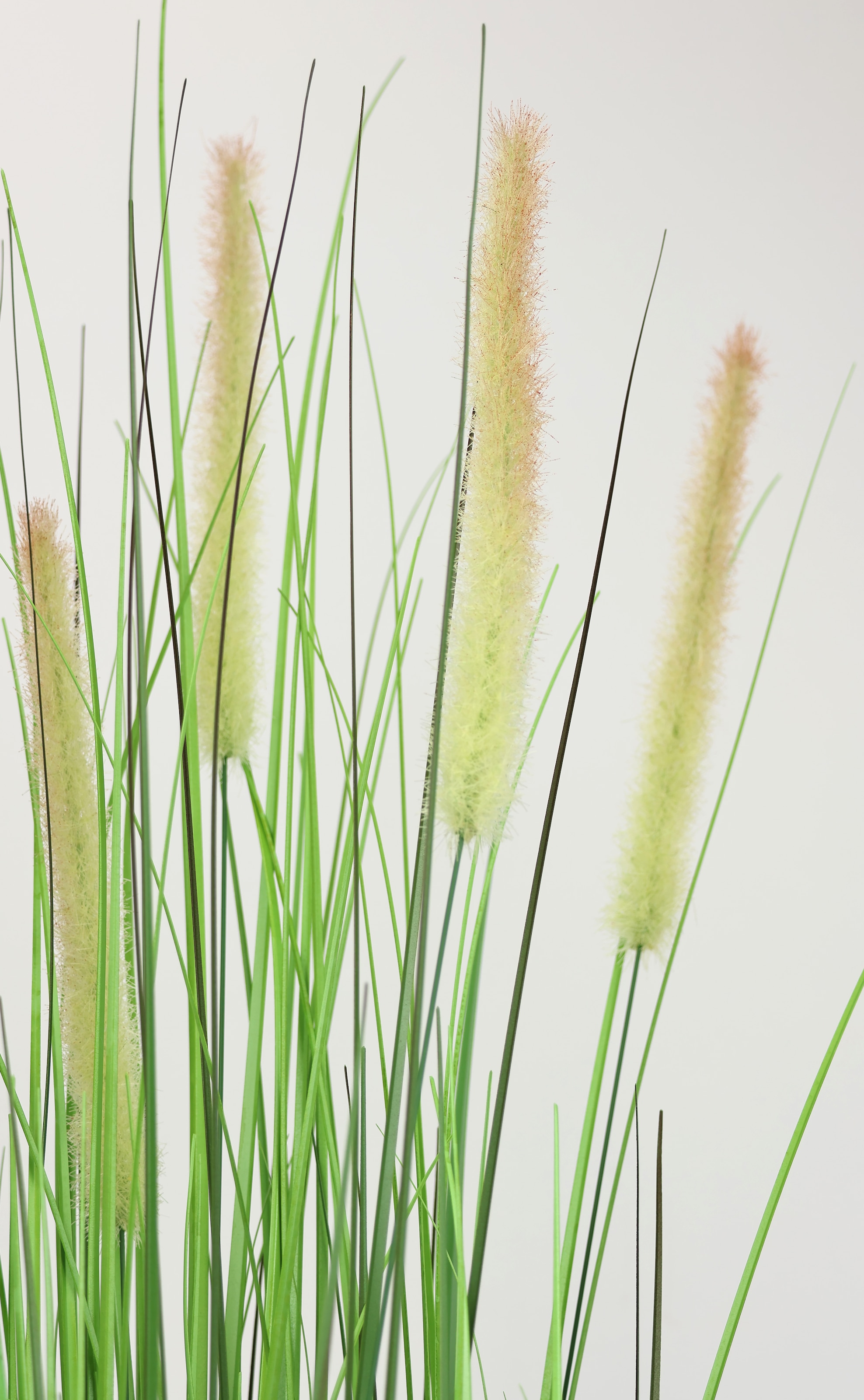 I.GE.A. Kunstpflanze »Gras«