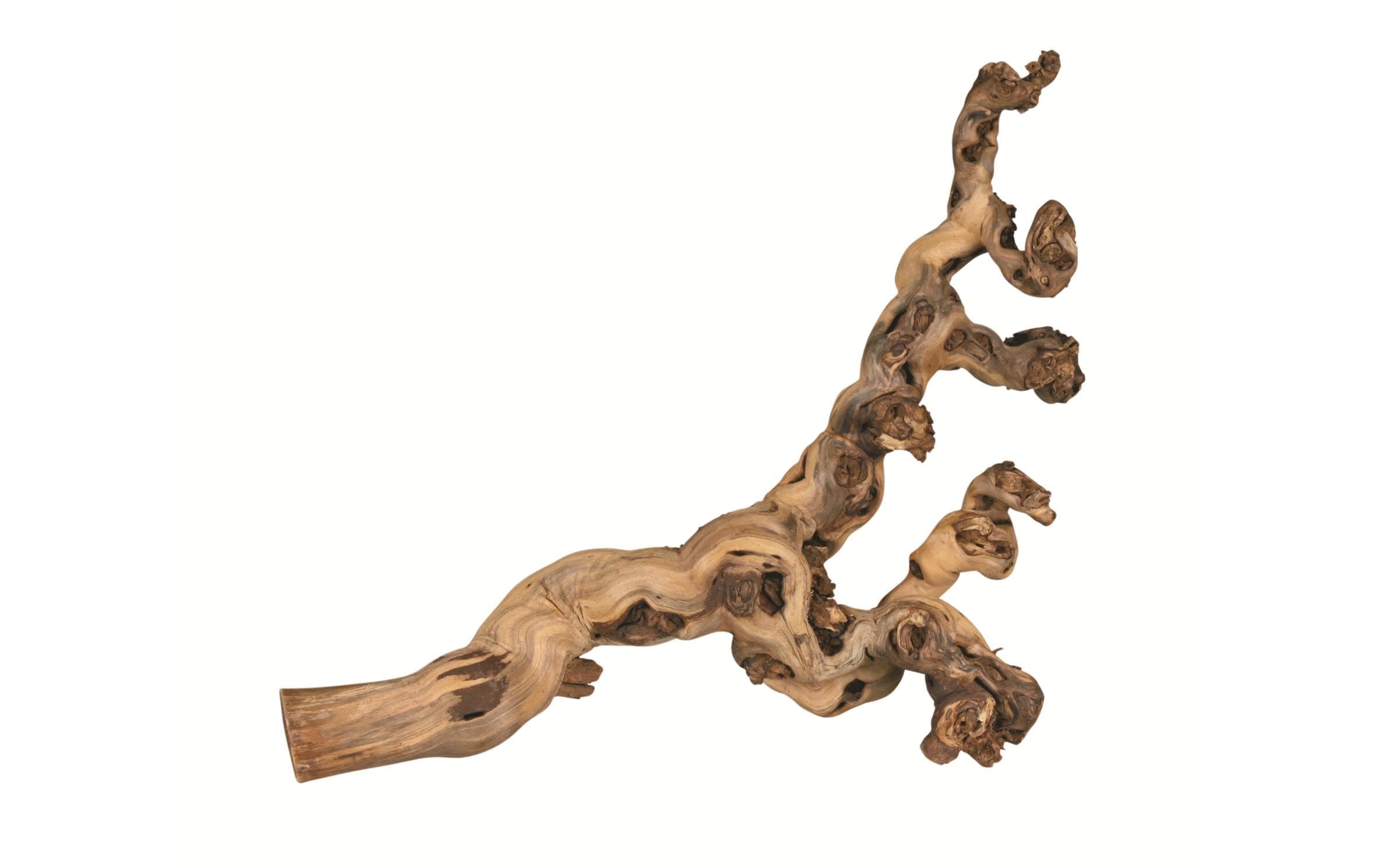 TRIXIE Jouets d'occupation pour animaux »XL wassergestrahlt, 55 - 80 cm«