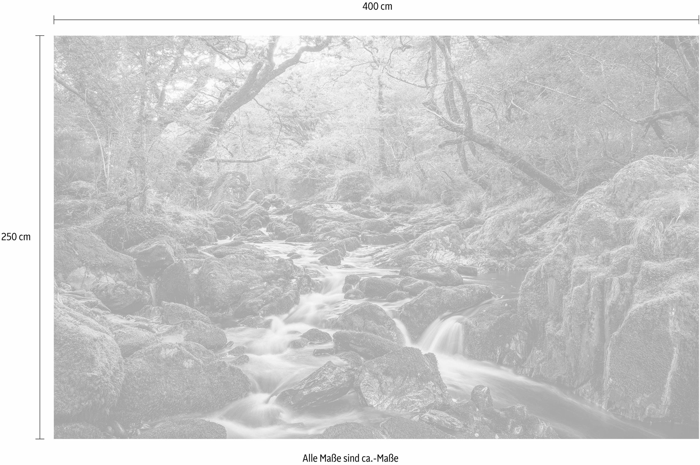 Komar Vliestapete »Digitaldruck Vlies -  Green Tales - Grösse 400 x 250 cm« bedruckt glatt Wohnzimmer, Schlafzimmer