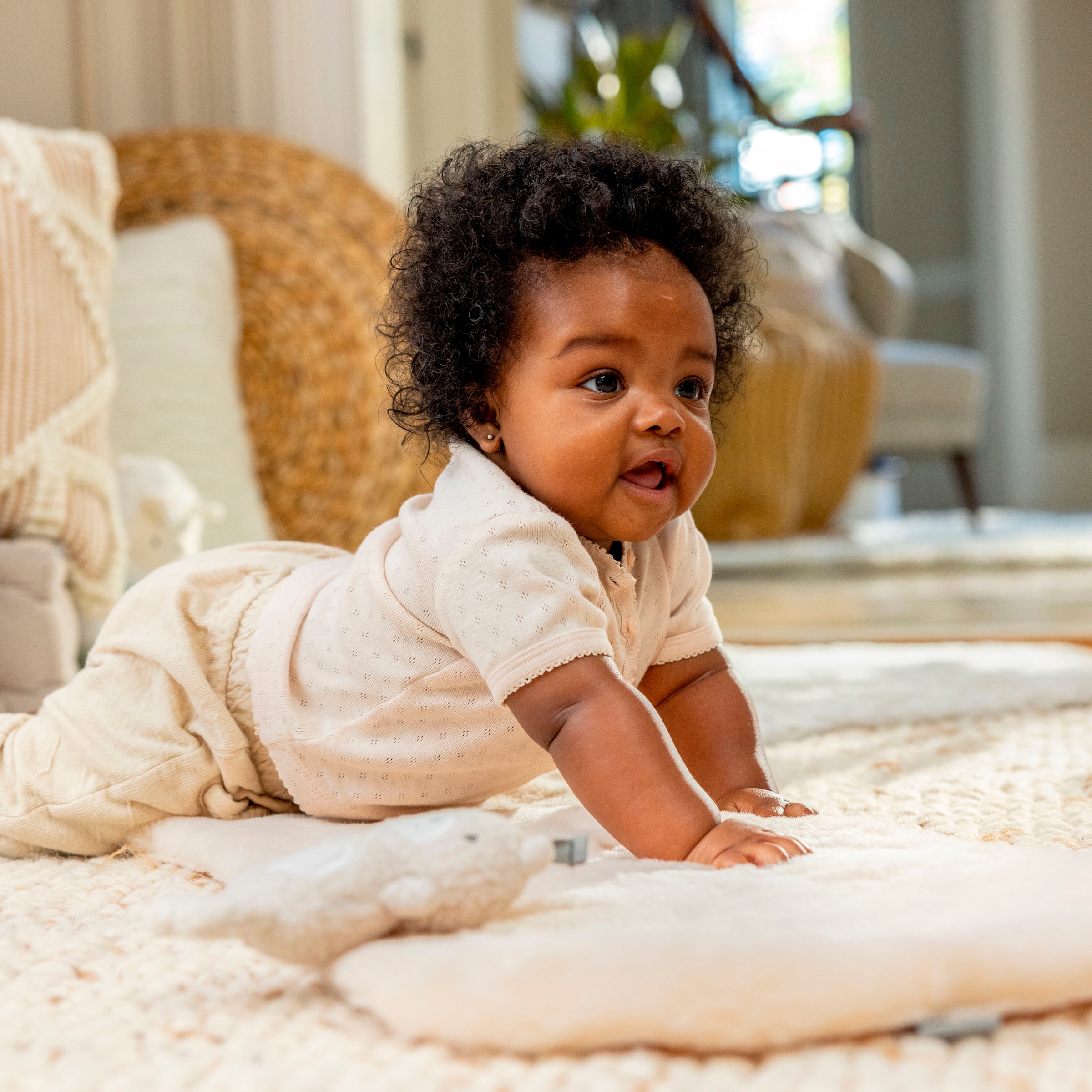 ingenuity Babywippe »Every Season™ Swing 'n Go Portable Swing™ - Wesley™« bis 9 kg mit Musik und Geräuschen