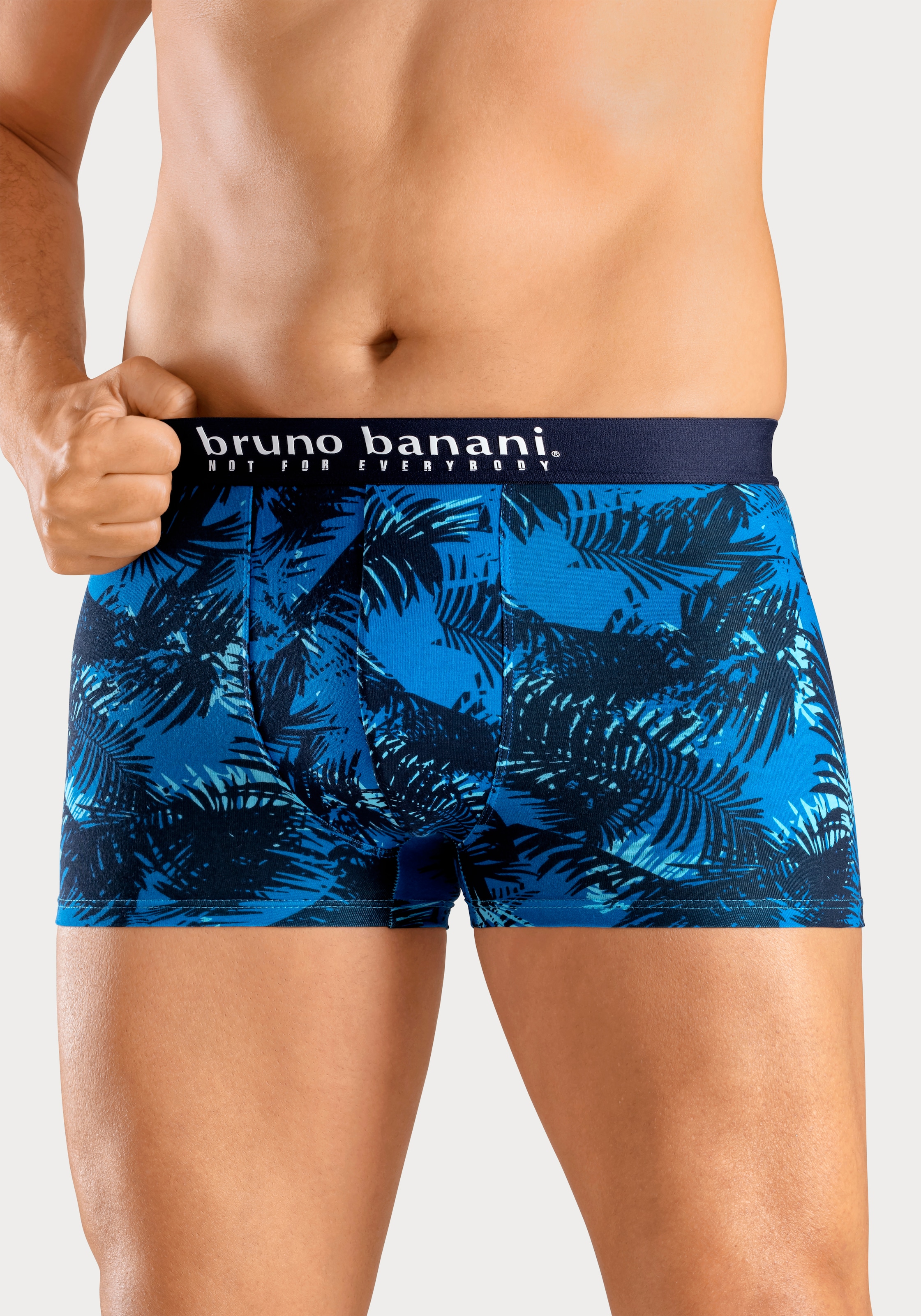 Bruno Banani Boxer »Boxershorts für Herren« Packung, 4er-Pack, 4 cuis mit Palmendruck und unifarben aus Baumwollmischung