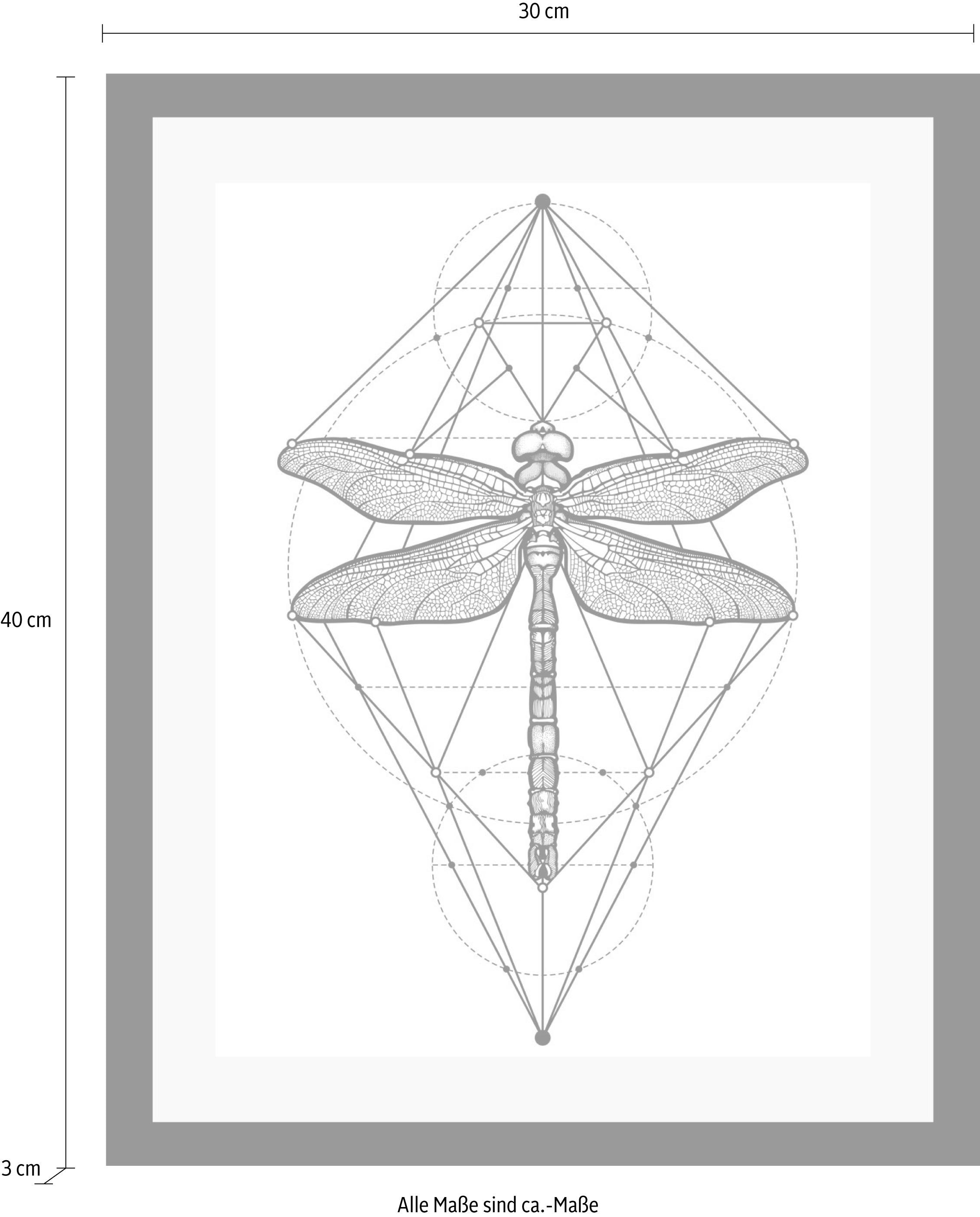 queence Bild »Libelle« Insekten | Kunst | Schwarz-Weiss | Tiere HD Premium Poster-Druck inkl. Holzrahmen