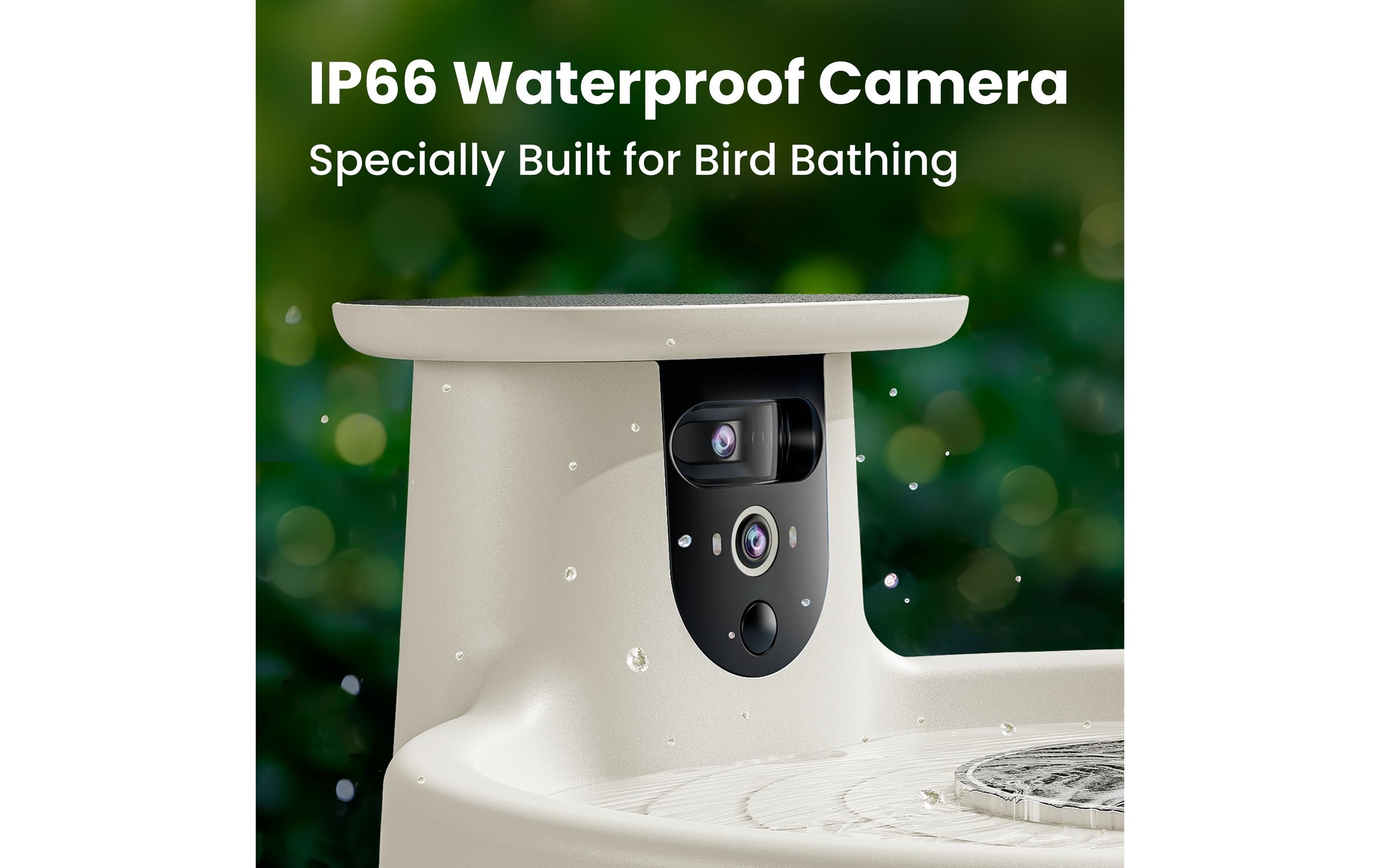 Birdfy Mangeoire pour oiseaux »Vogelbad mit Kamera« Solarbetrieben, KI und Video Vogelerkennung