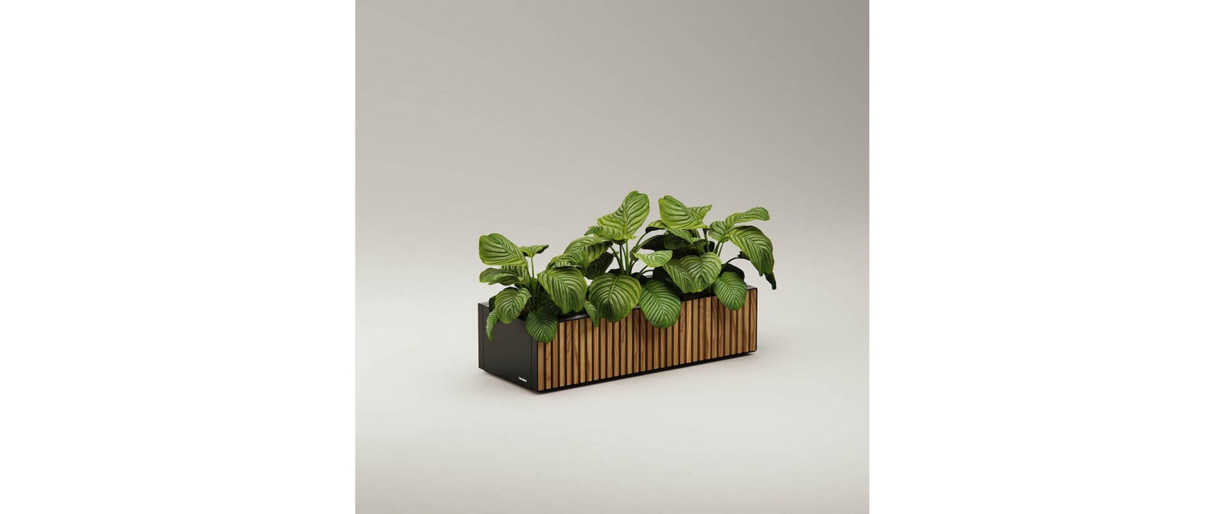 Herstera Garden Bac à plantes »Xic 100 x 40 x 25 cm«