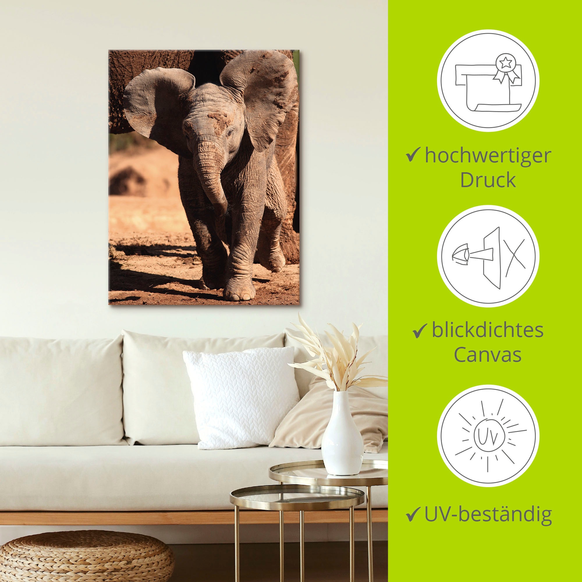 Artland Leinwandbild »Elefantenbaby« Wildtiere 1 Stk. tlg. auf Holzrahmen gespannt