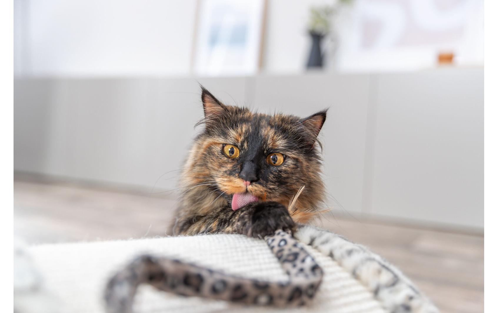 TRIXIE Lit pour animal »Leo 25 cm« Plüsch