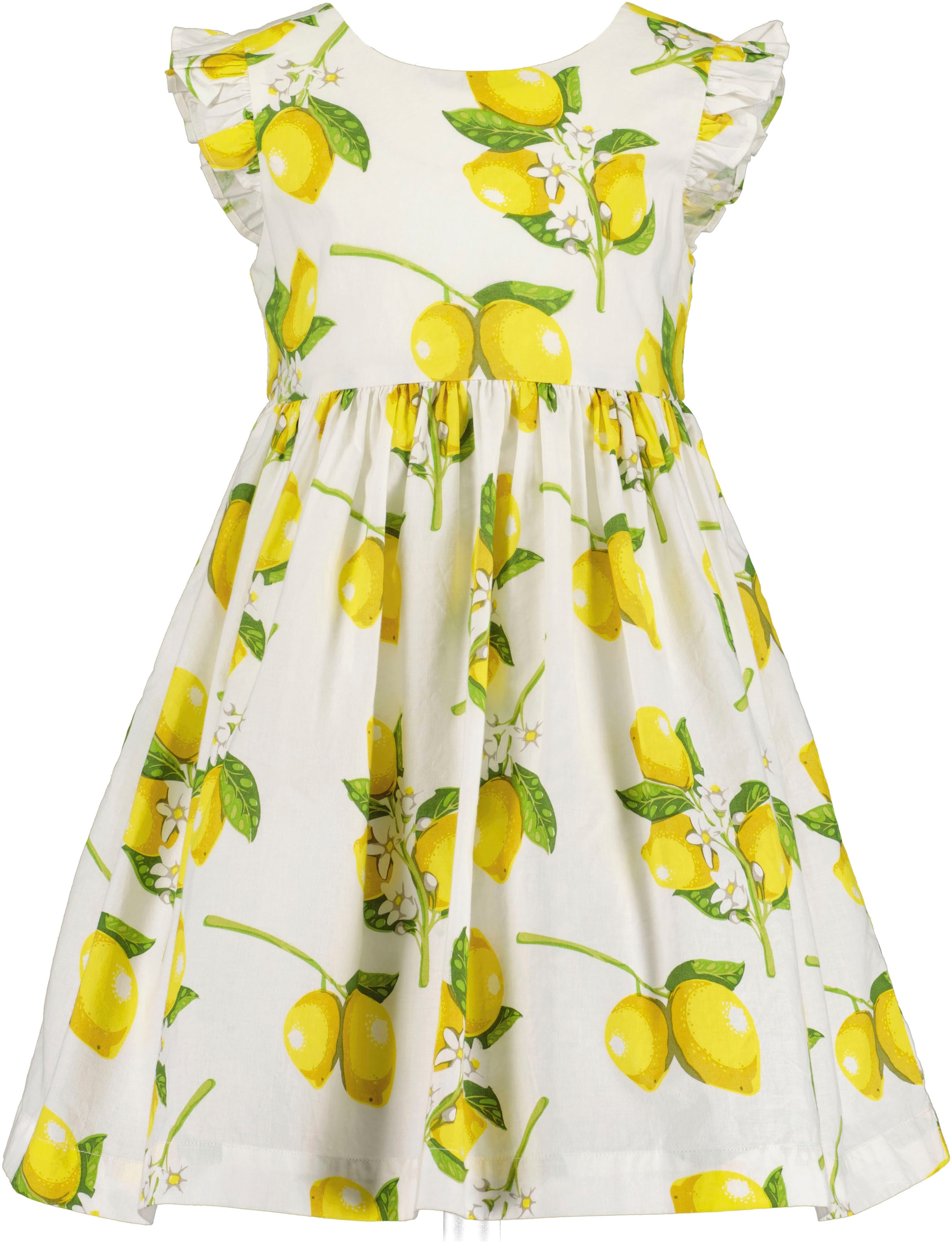 Blue Seven Robe d'été 1 pièces tlg. mit süssen Flügelärmeln und sommerlichem Alloverdruck