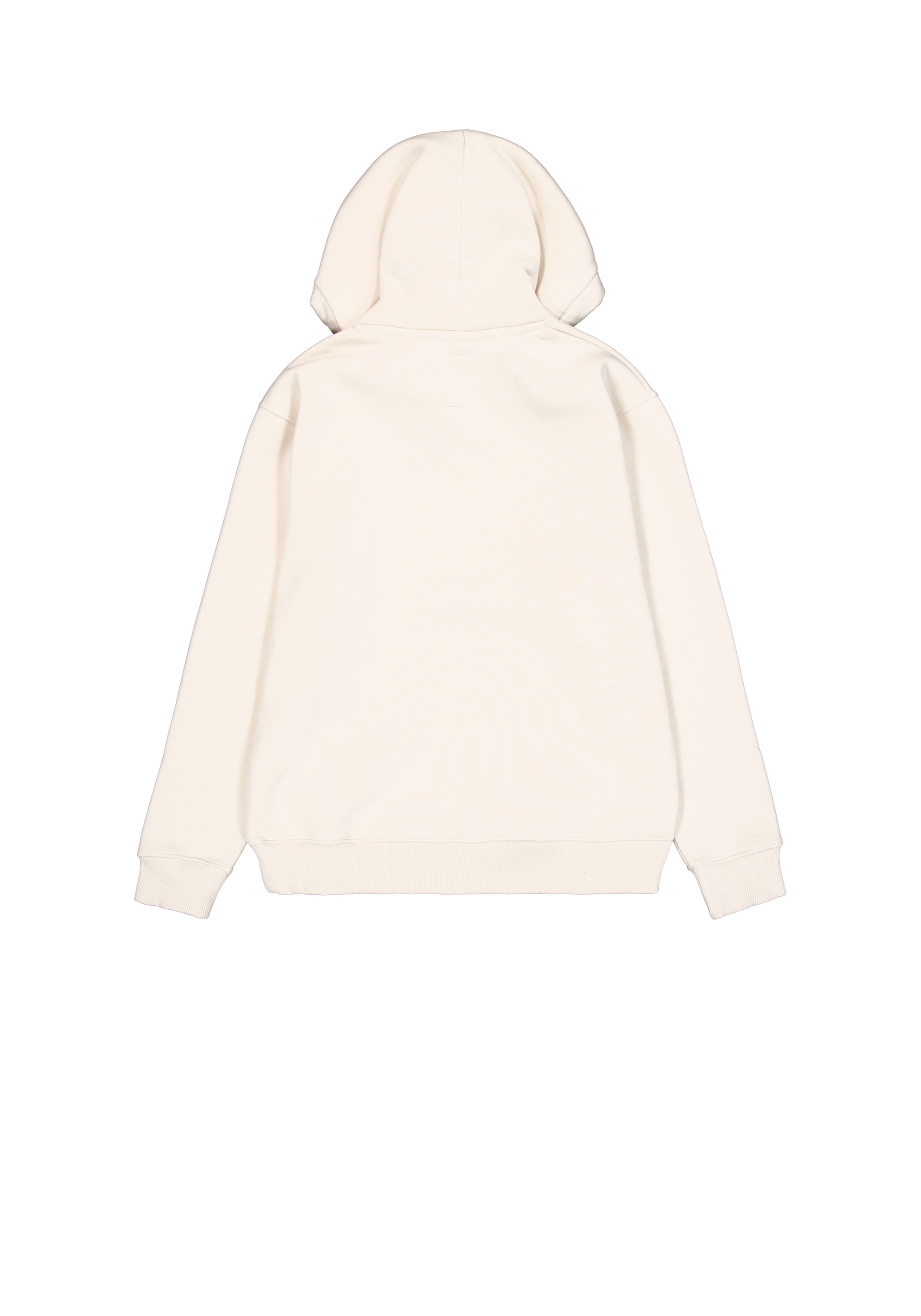 Alpha Industries Hoodie »Basic BL Hoodie«

