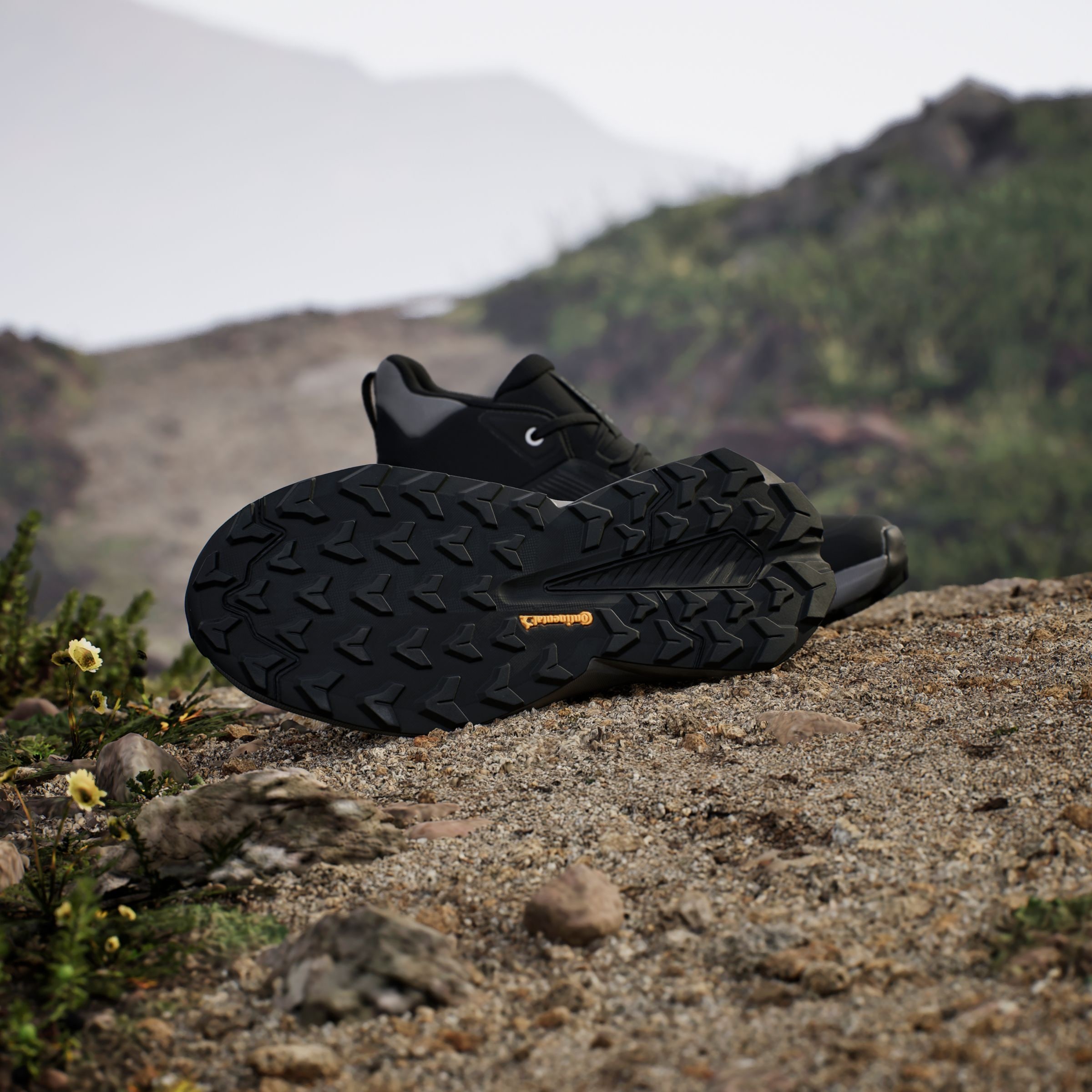 adidas TERREX Wanderschuh »TERREX TRAILMAKER 2.0 MID GORE-TEX«  wasserdicht
