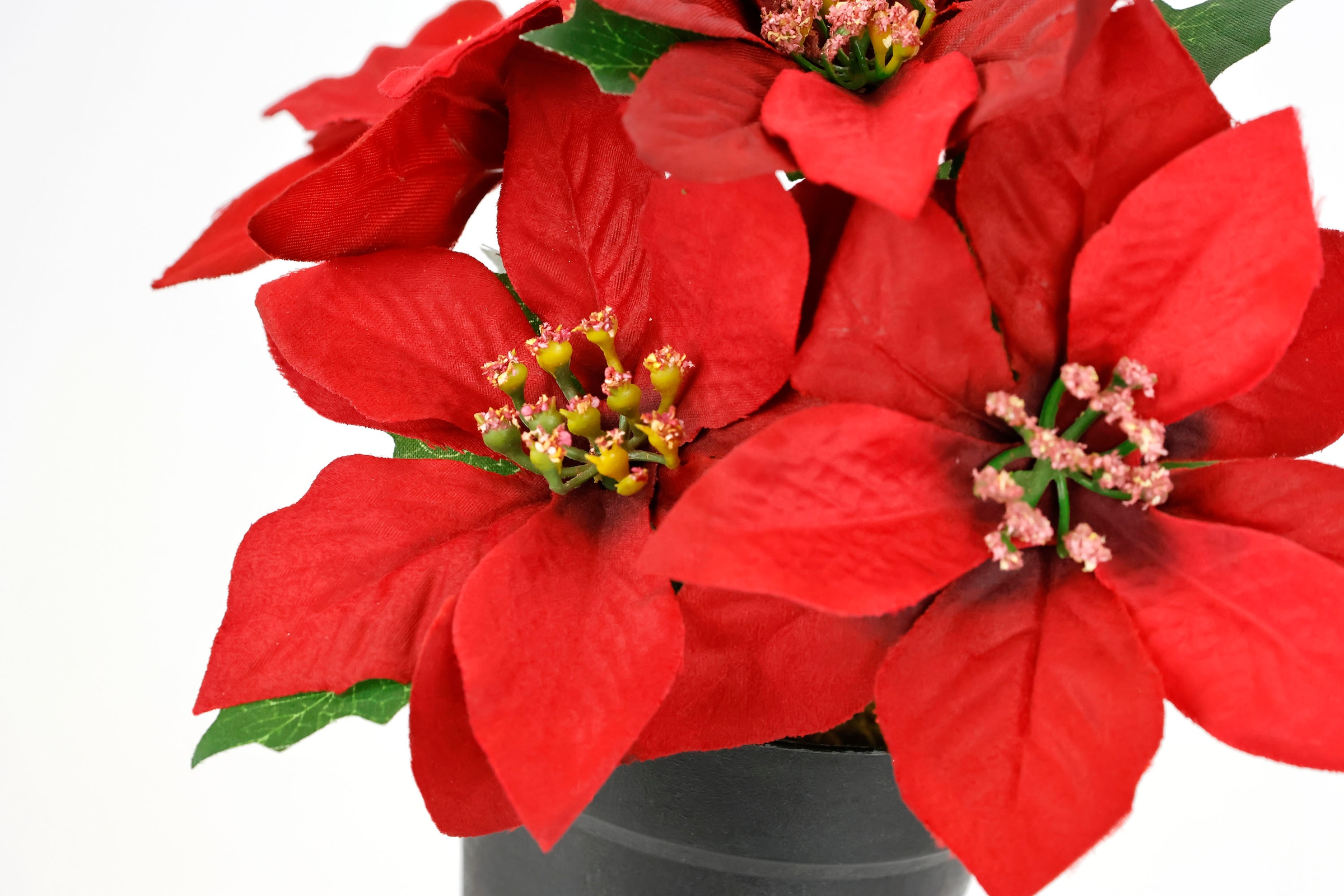 I.GE.A. Fleur artificielle »Poinsettia im Topf« 2er Set Künstliche Blume Weihnachtsstern Christstern Weihnachtsdeko