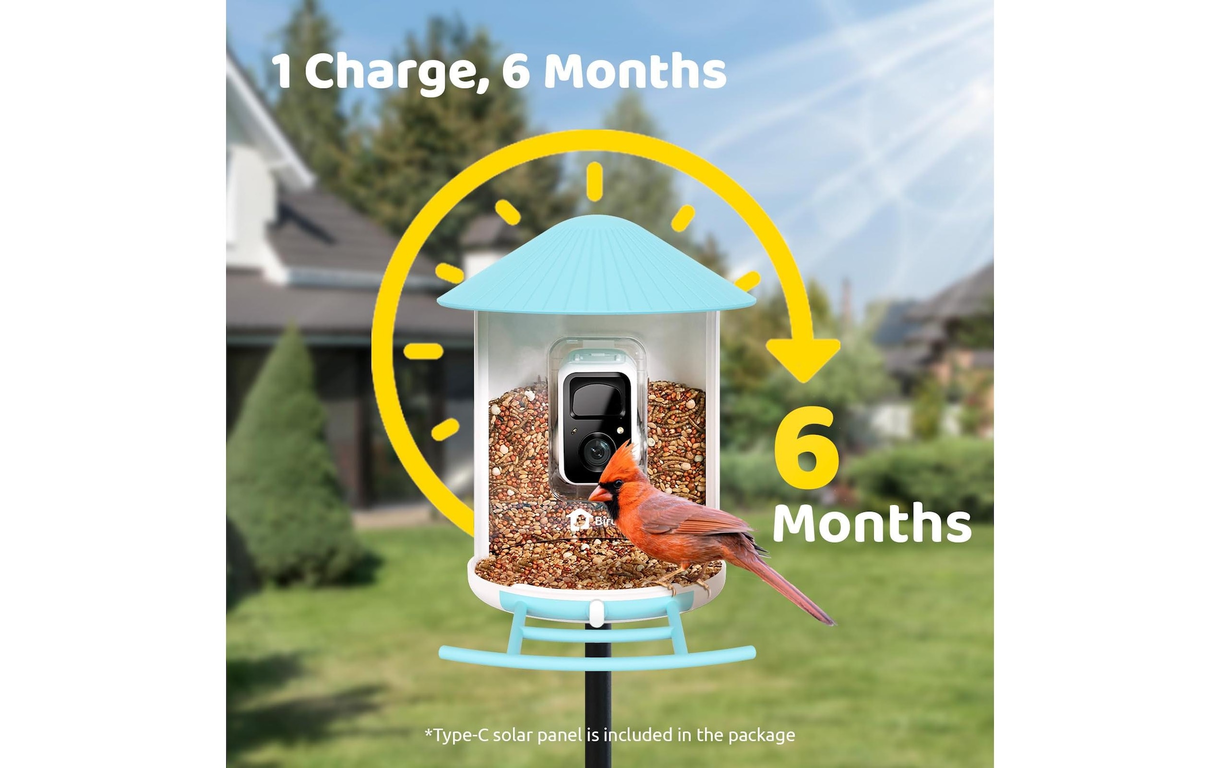 Birdfy Futterspender »Basic Solar«