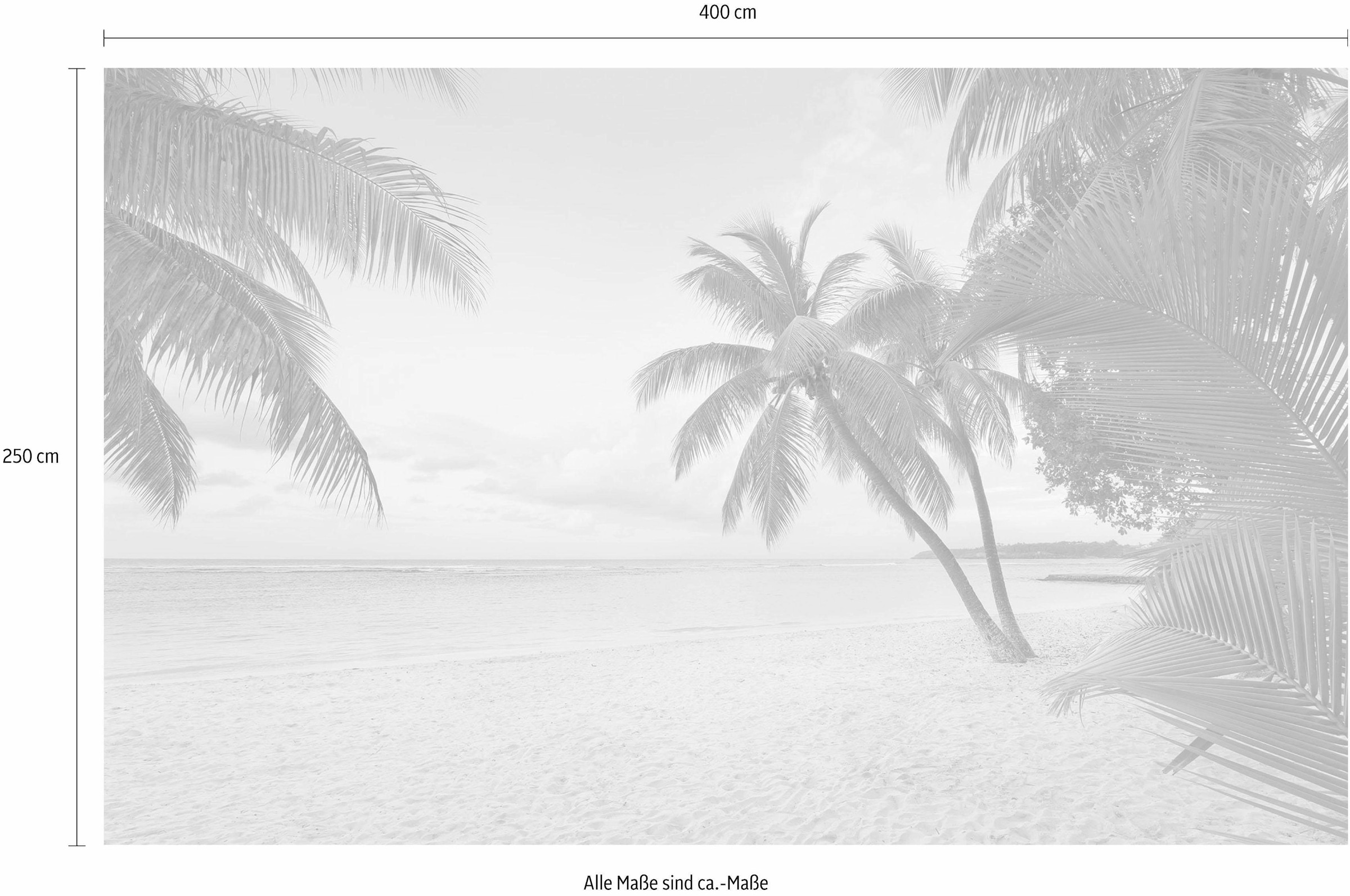 Komar Papier peint intissé »Digitaldruck Vlies -  Paradise Morning - Grösse 400 x 250 cm« imprimé Wohnzimmer, Schlafzimmer