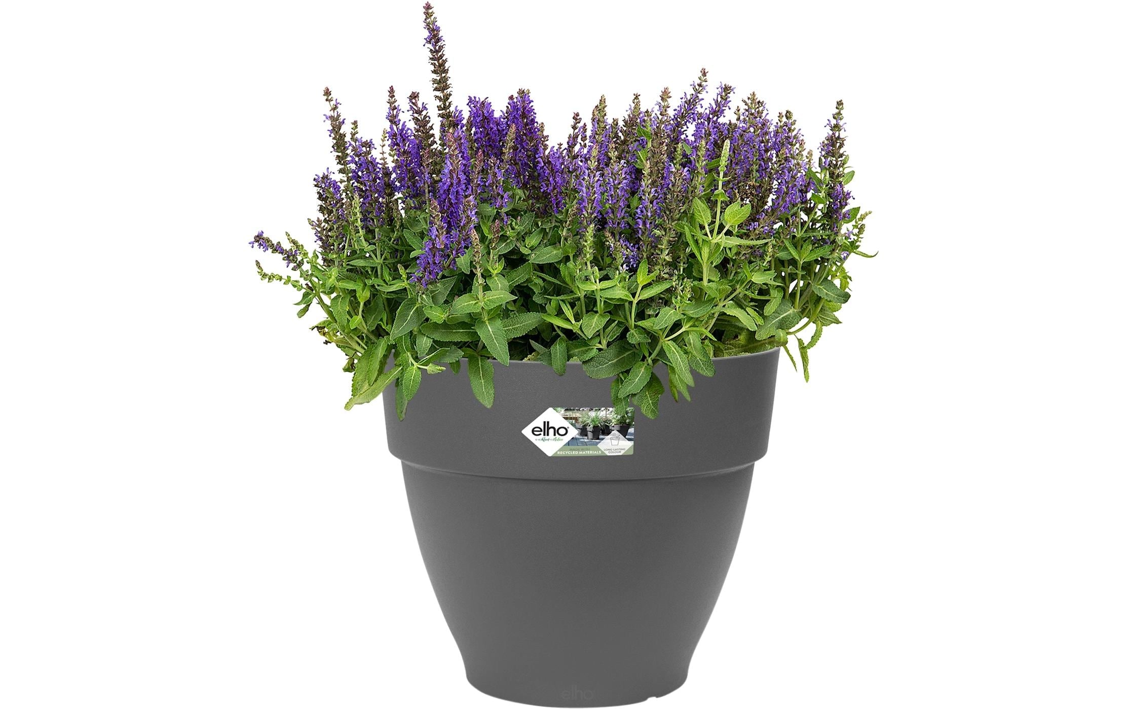Elho Pot de fleurs »Vibia Campana Rund«