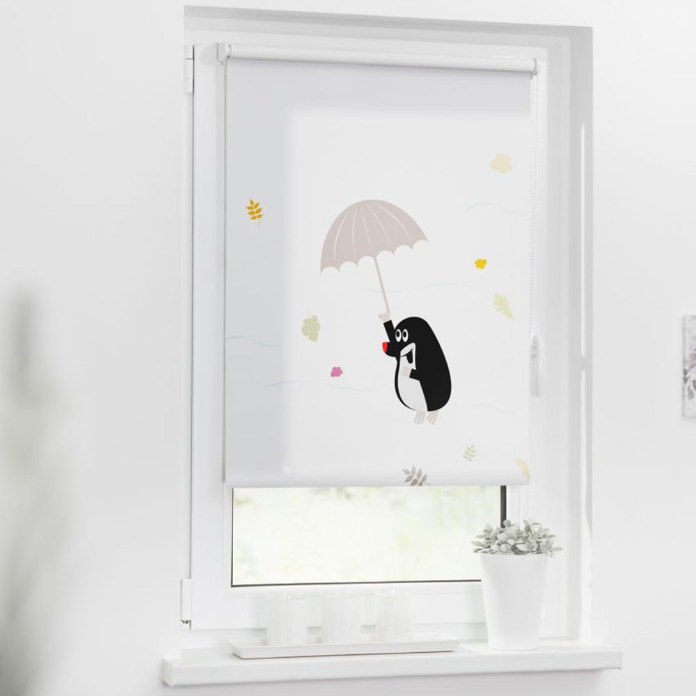 LICHTBLICK ORIGINAL Store à enrouleur »Klemmfix, ohne Bohren« verdunkelnd mit Bohren/ohne Bohren freihängend