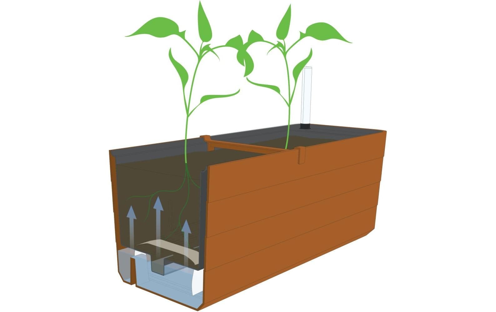   Bac à fleurs »Plastia Berberis 60 cm«