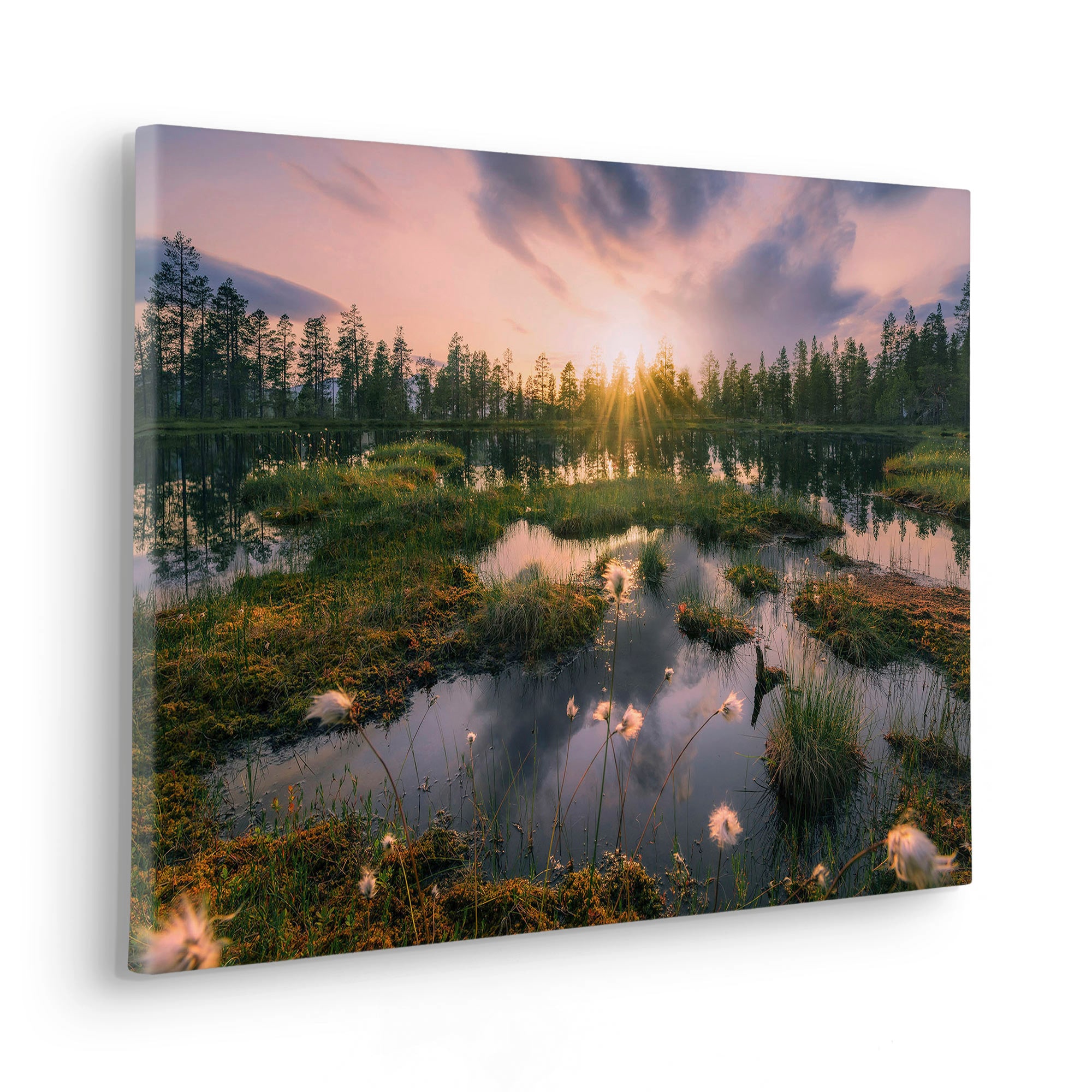 Komar Leinwandbild »Gloomy Swamps - Grösse 60 x 40 cm« Baum | Berge | Blumen | Blätter | Foto | Jahreszeiten | Landschaft | Meer | Natur | Palmen | Strand Packung, 1 Stk. tlg. Keilrahmenbild mi Echtholzrahmen