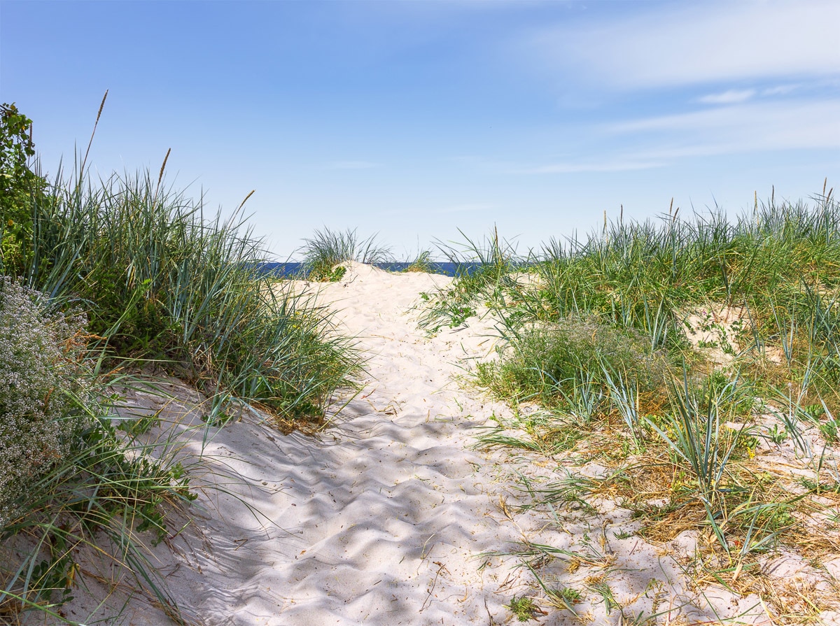 Papermoon Fototapete »Dünen in der Ostsee«