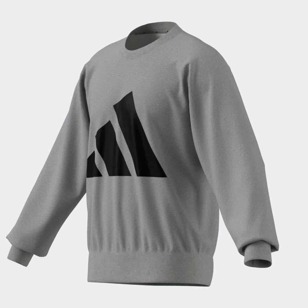 adidas Sportswear Sweatshirt »ESSENTIALS BIG LOGO FRENCH TERRY«
