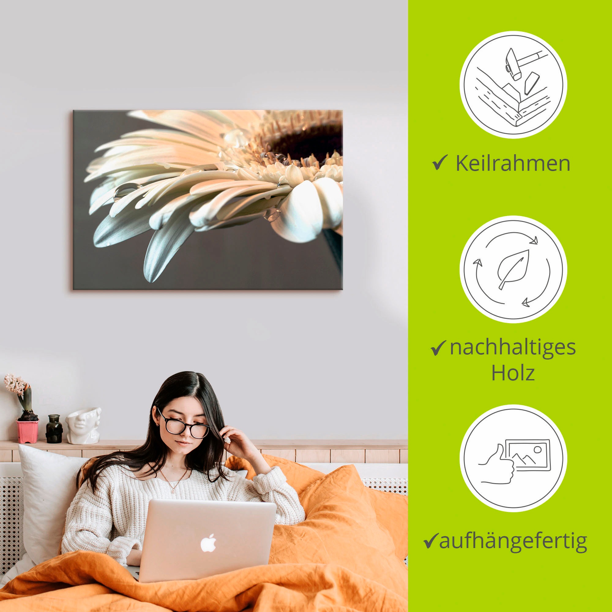 Artland Fresque murale »Blüte einer Gerbera« 1 cuis tlg. als Leinwandbild, Poster, Wandaufkleber in verschied. Grössen