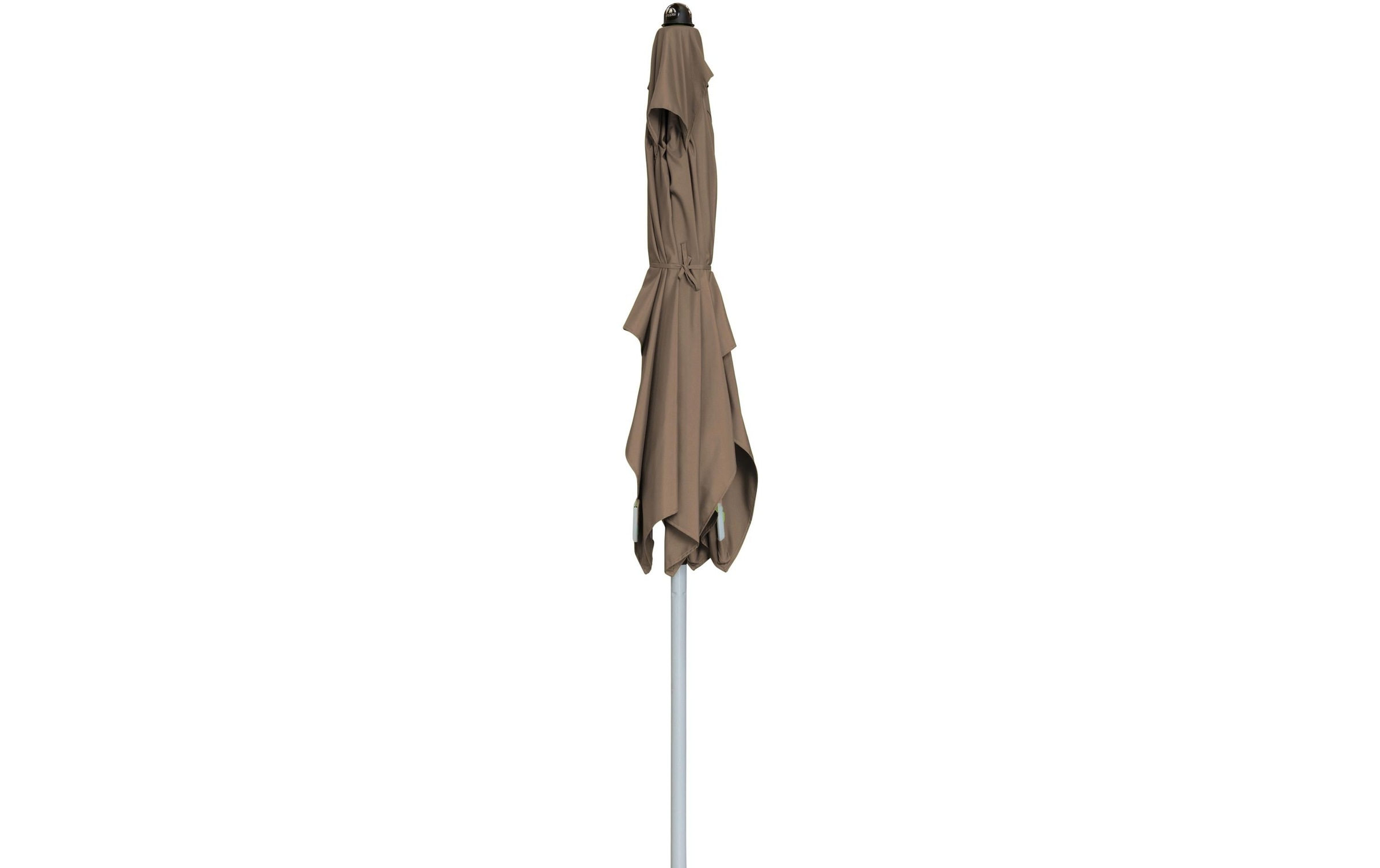   Parasol