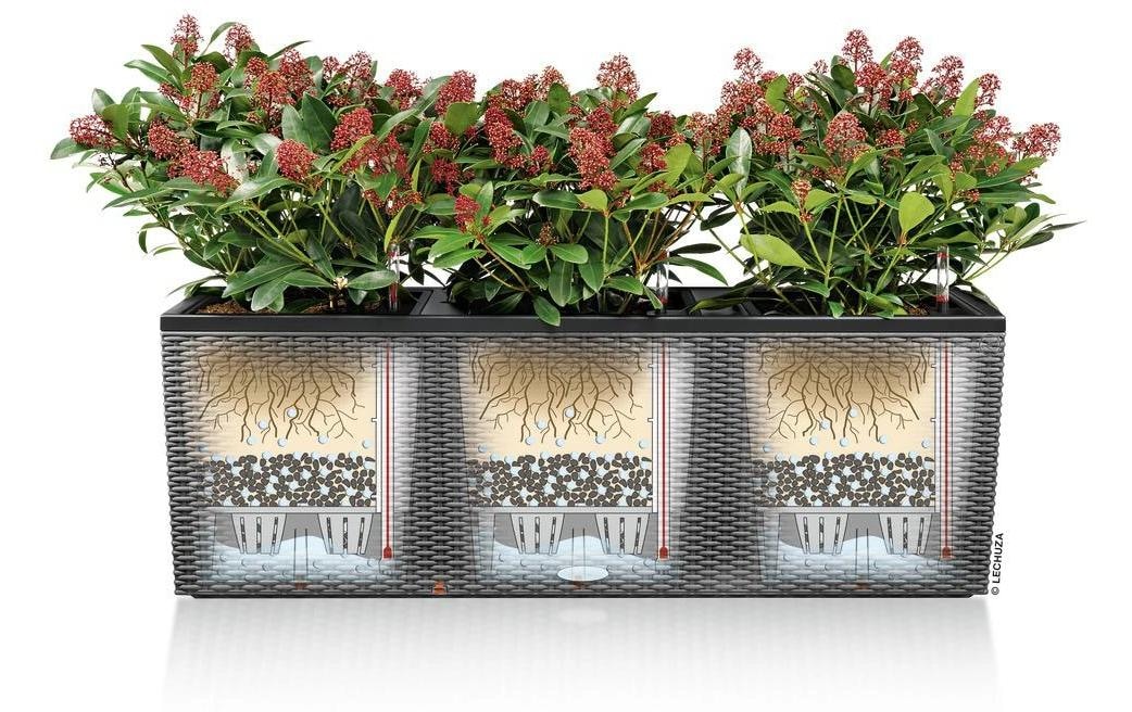   Blumenkasten »Lechuza TRIO Cottage 30«