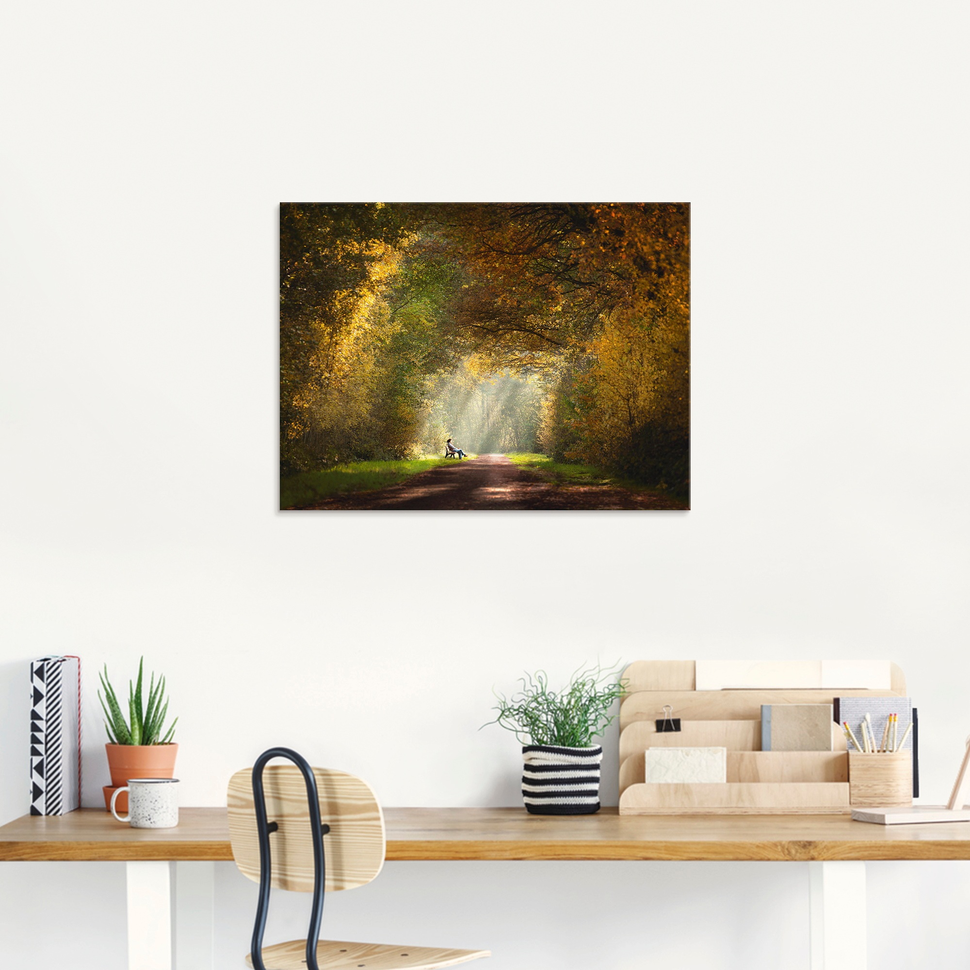 Artland Glasbild »Licht am Ende des Tunnels...« Wald 1 Stk. tlg. in verschiedenen Grössen