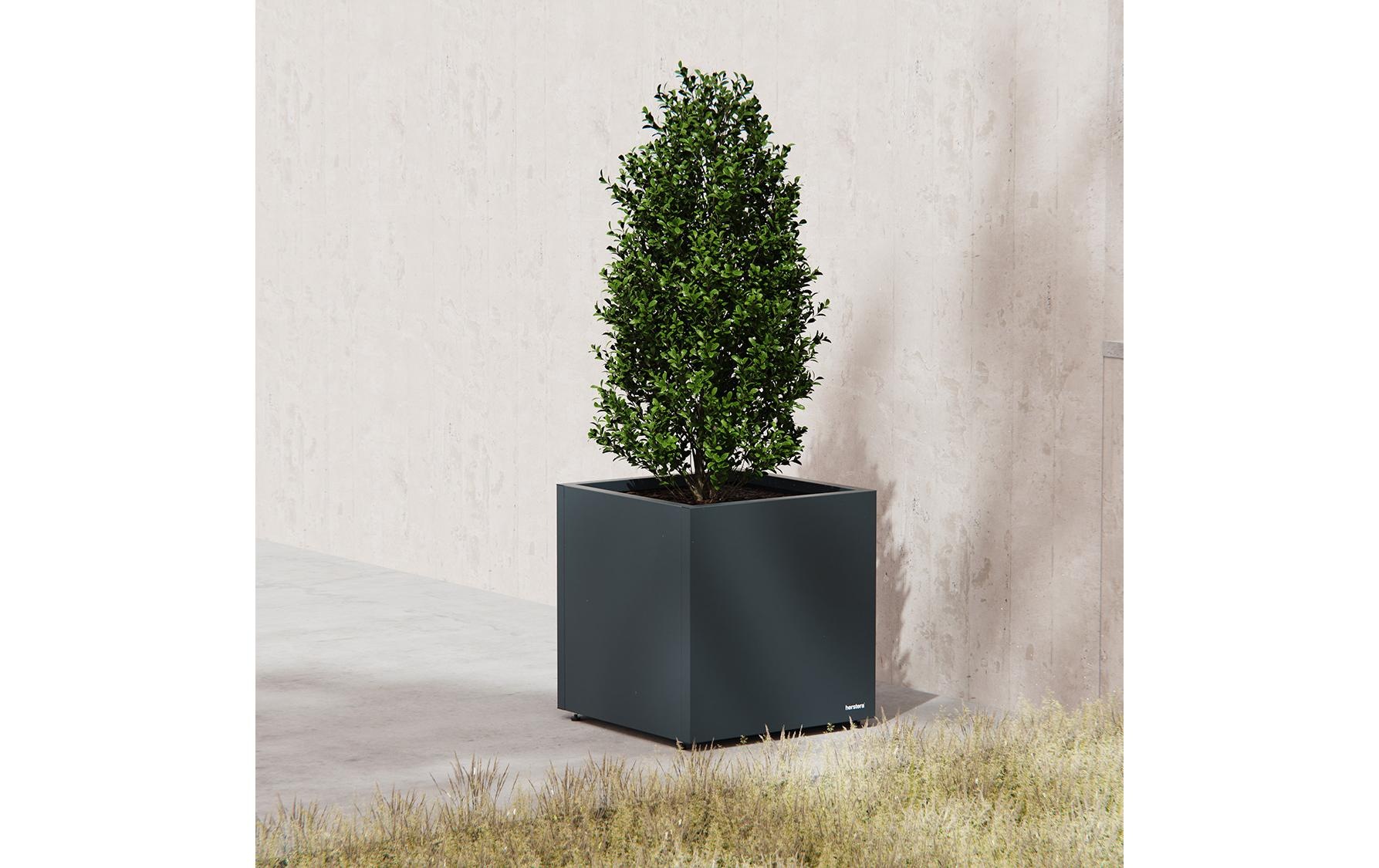 Herstera Garden Pflanzkübel »Metall Würfel«