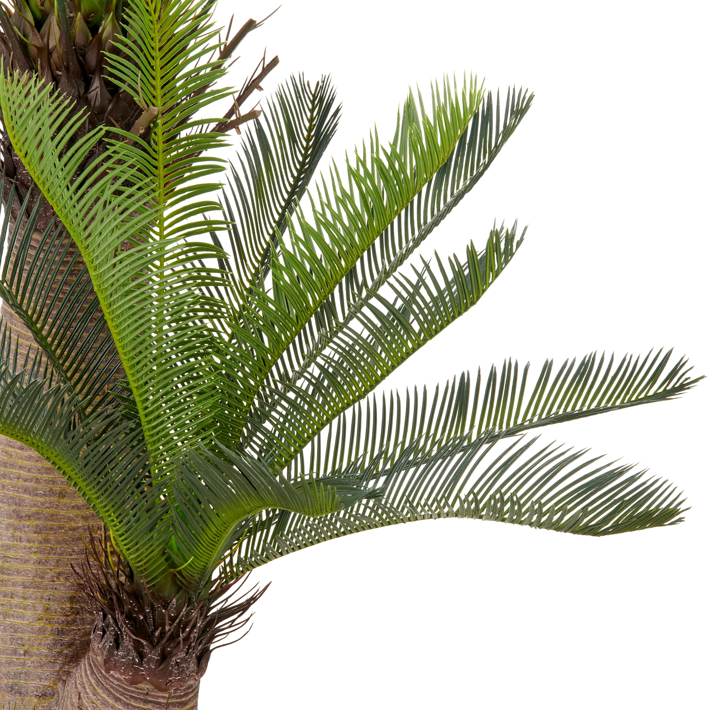Creativ green Palmier artificiel »Cycaspalme« mit detailgetreuer Gestaltung