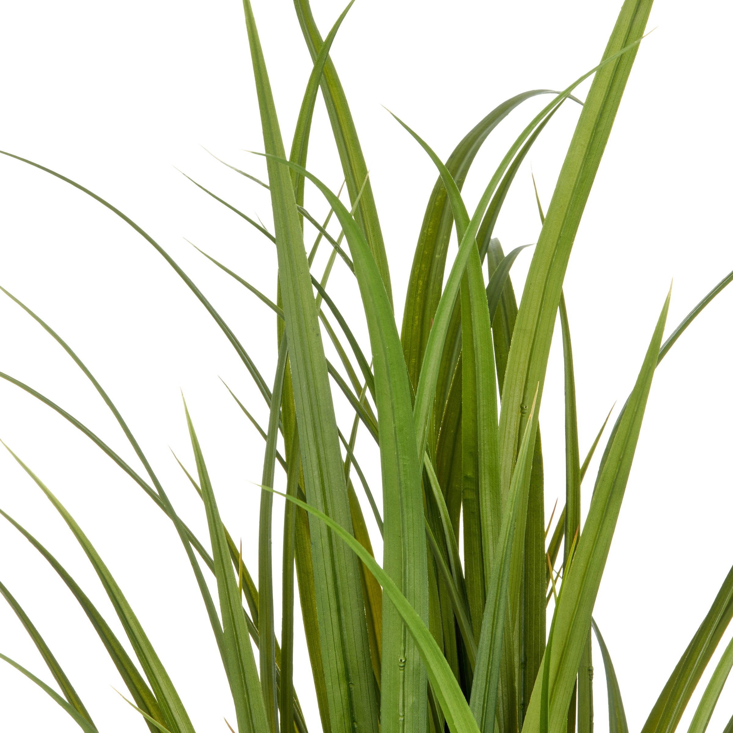 Creativ green Kunstgras »Grasbusch Miscanthus« im eleganten Topf