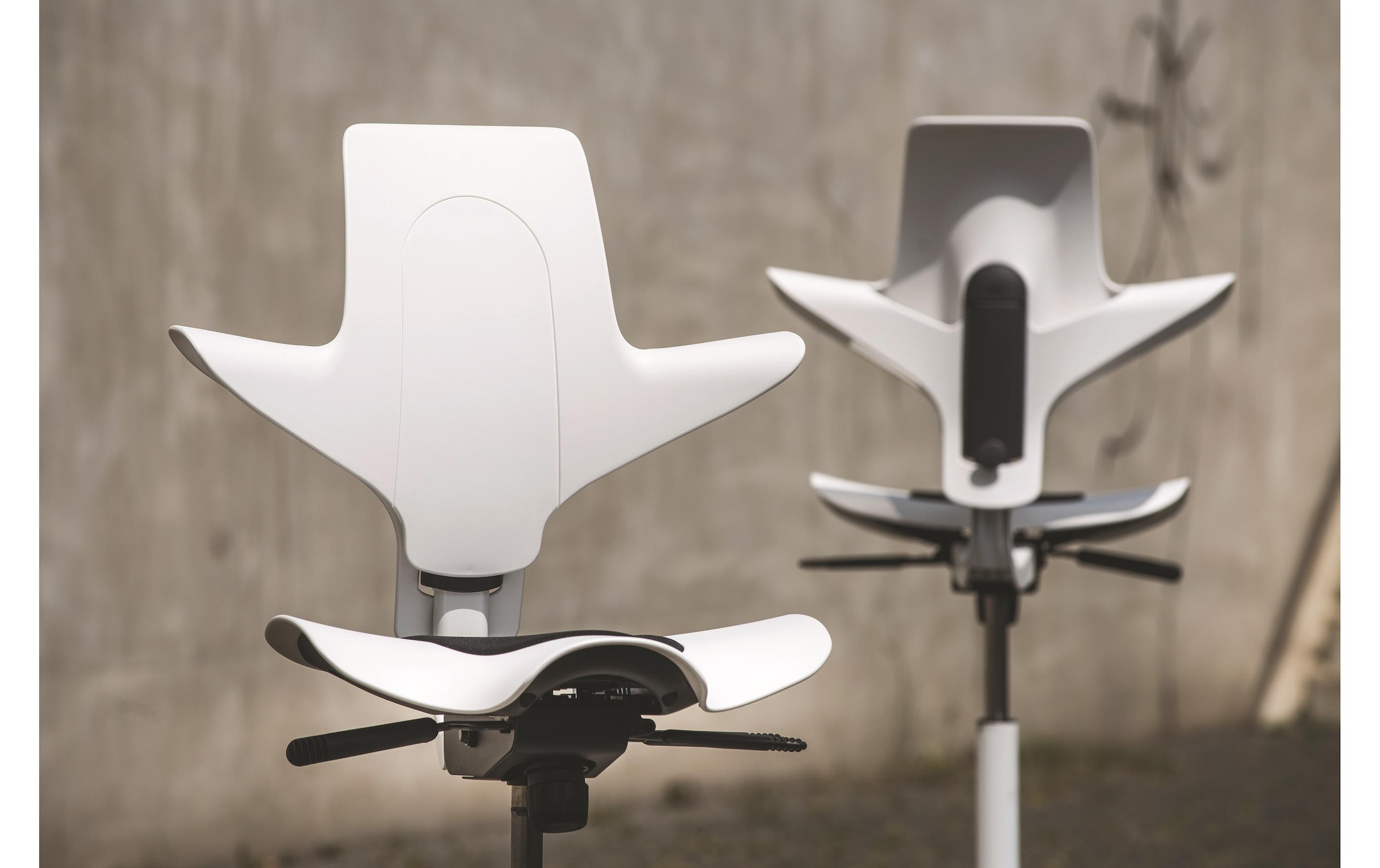   Schreibtischstuhl »HÃG Capisco Puls 8010« ()