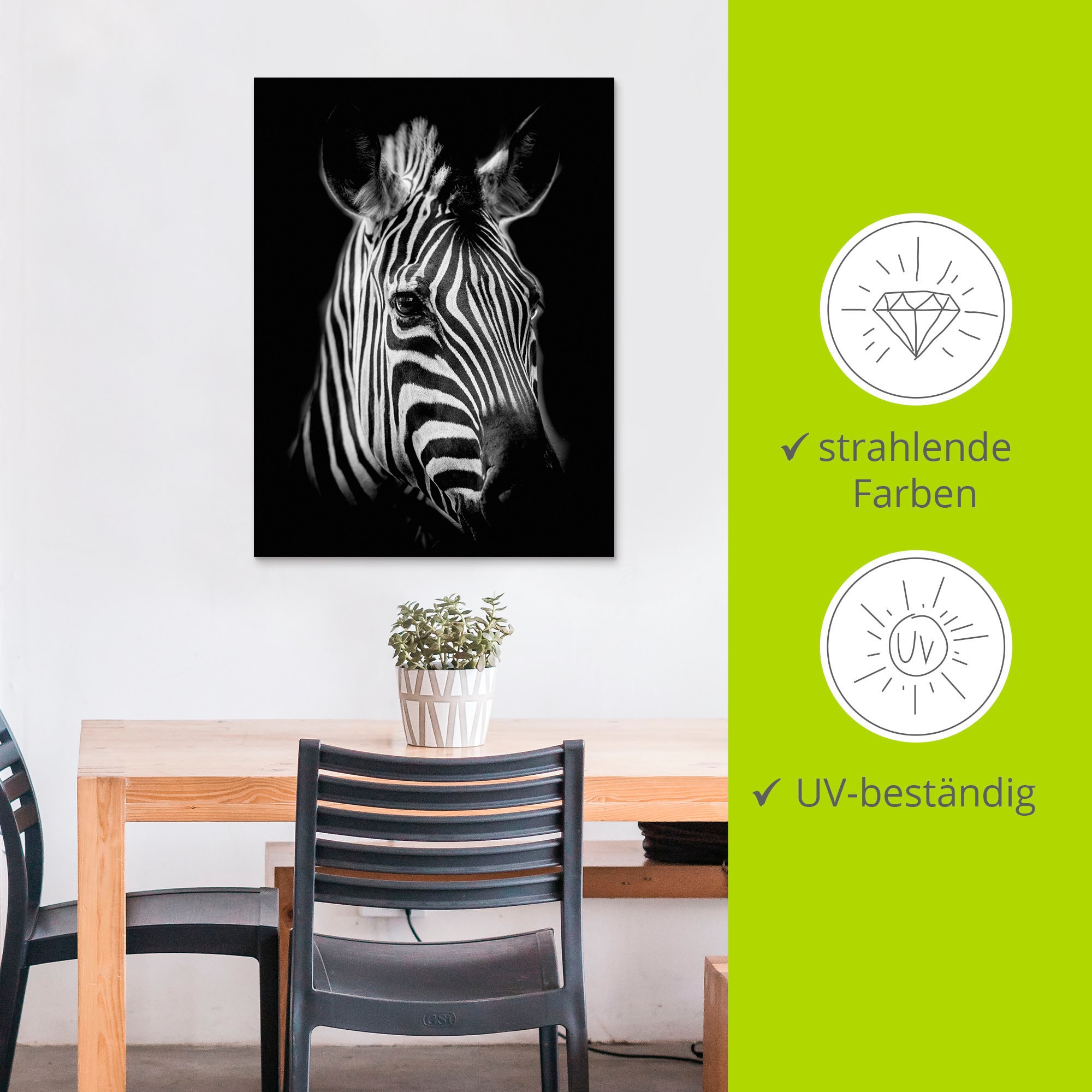 Artland Wandbild »Zebra« Zebra Bilder 1 Stk. tlg. als Alubild, Outdoorbild, Leinwandbild, Poster, Wandaufkleber