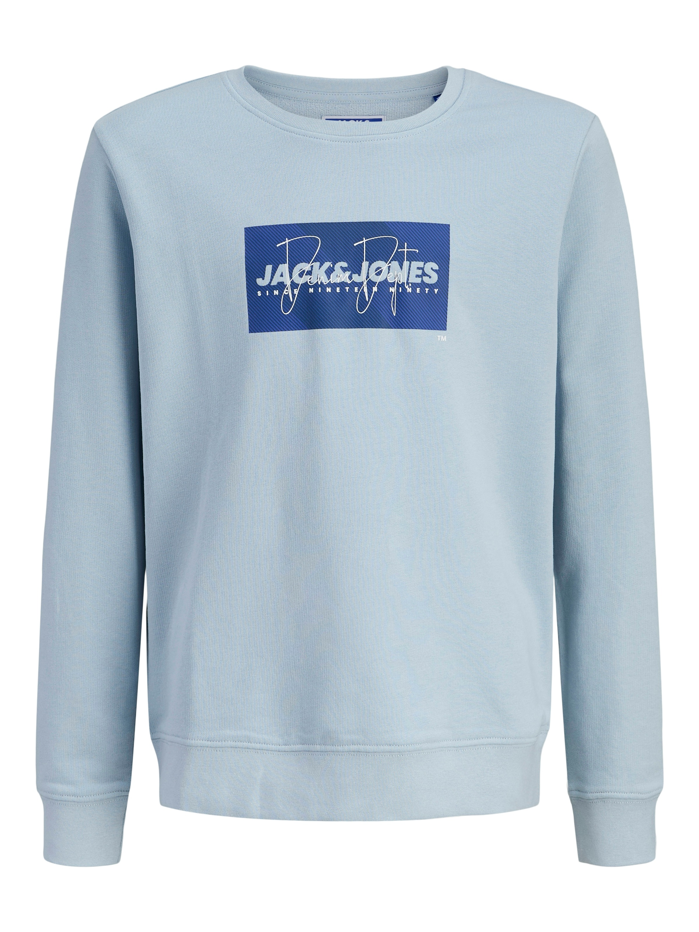 Jack & Jones Junior Sweatshirt »JJCOLE PRINT SWEAT CREW JNR«, mit Logoprint
