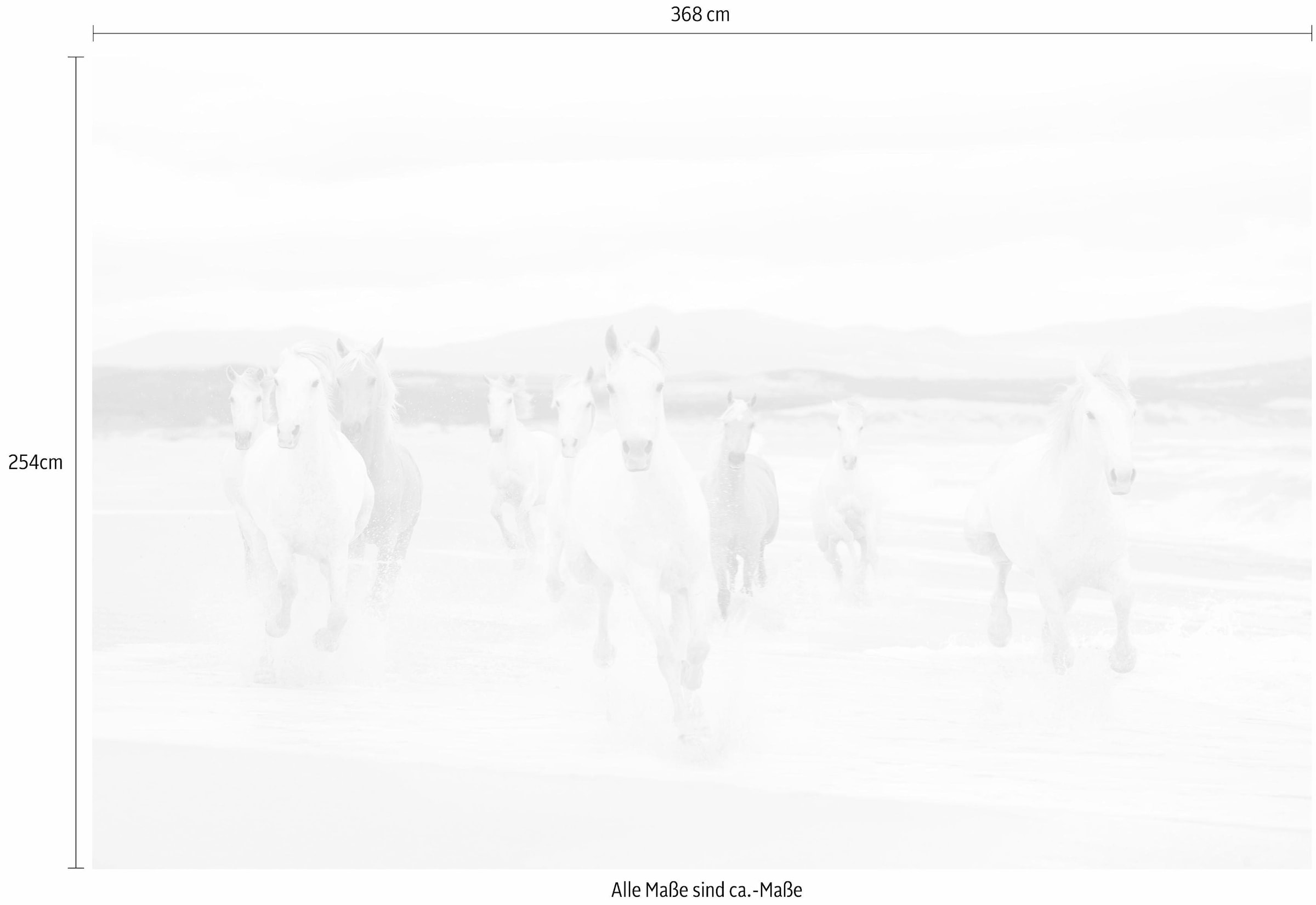 Komar Fototapete »White Horses - Grösse 368 x 254 cm« bedruckt glatt Wohnzimmer, Schlafzimmer