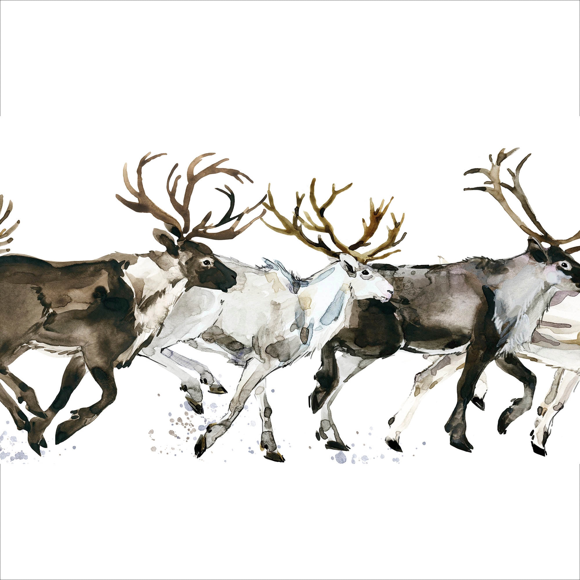 queence Dekokissen »Enzo« Kissenhülle,Hirsche,Elche,Weisser Hintergrund,Weihnachten,Festlich