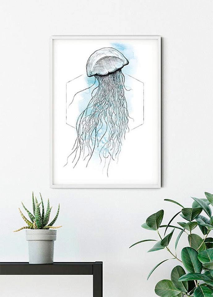 Komar Image »Jellyfish Watercolor« 1 cuis tlg. Wandbild zur Dekoration - ohne Rahmen